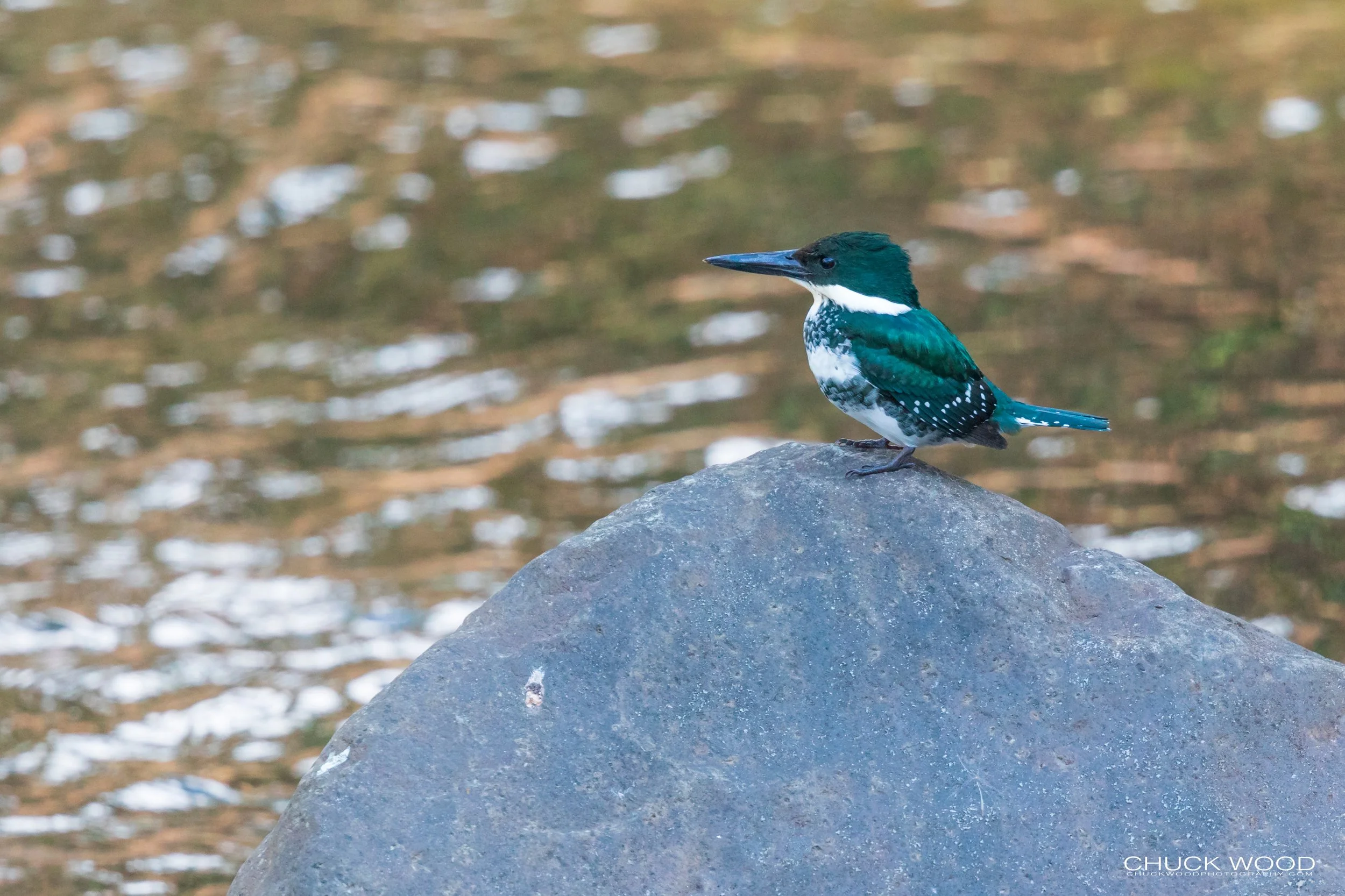  Tuis River Valley, Costa Rica 2020 
