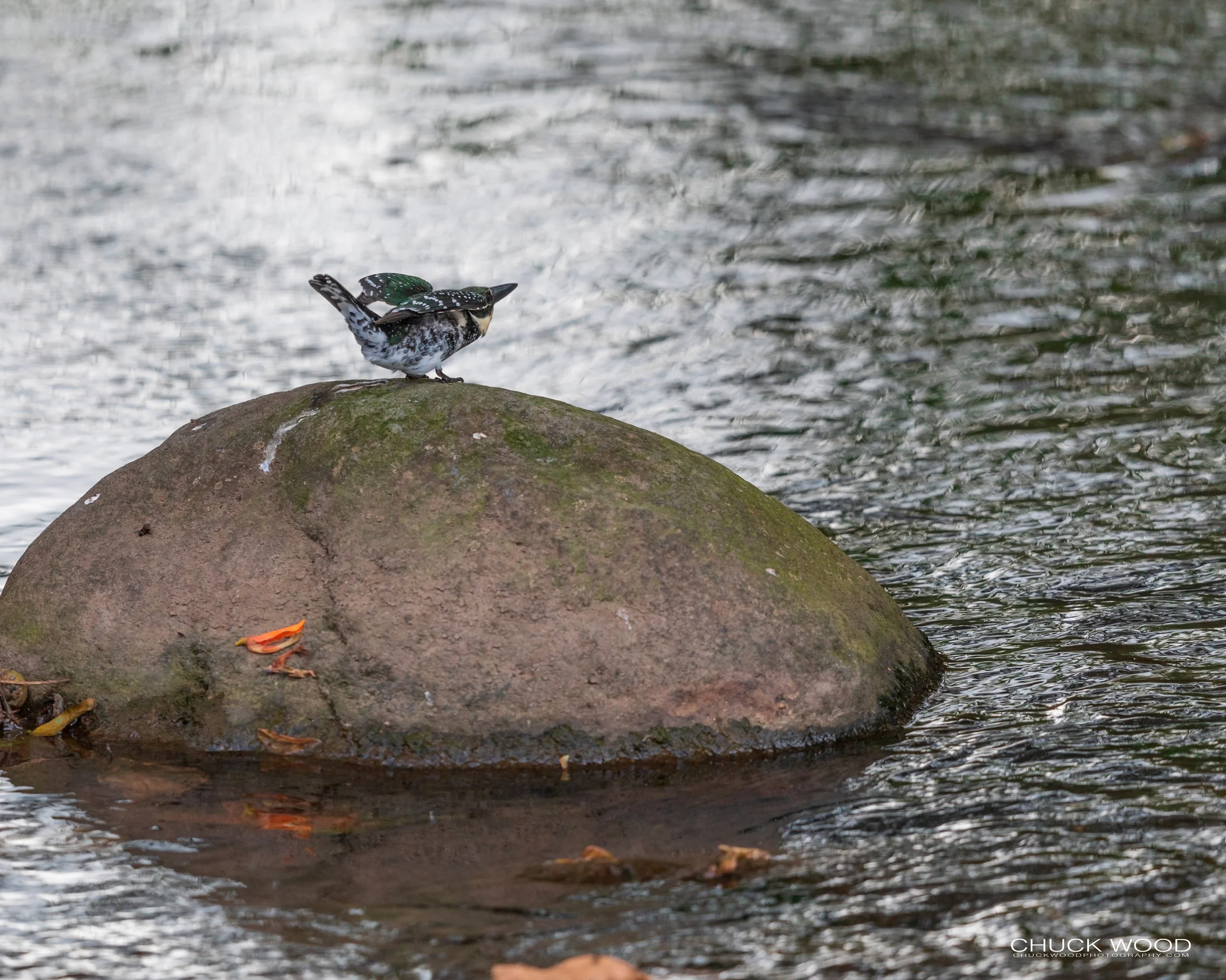  Tuis River Valley, Costa Rica 2020 