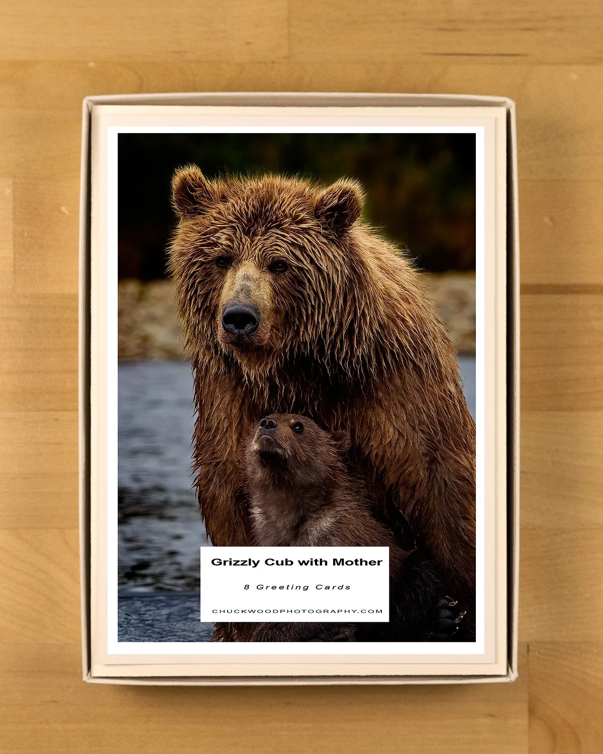 Grizzly-Cub-with-Mother-Boxed-Set-product-shot-BOX-1500.jpg