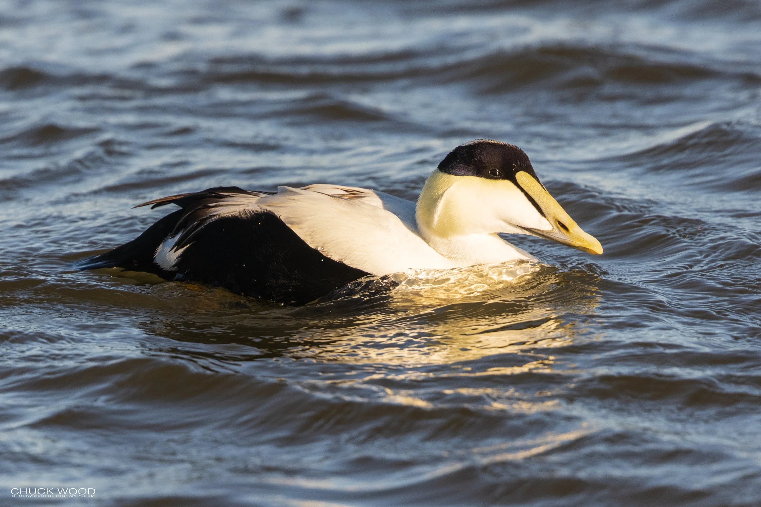  Barnegat Lighthouse, NJ 2021 