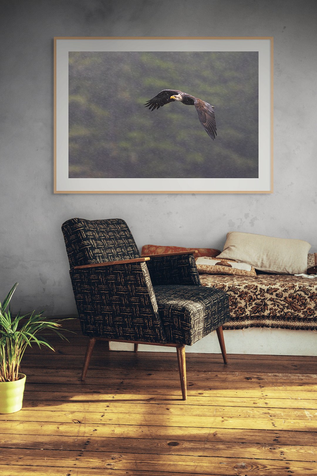 CW00194-Bald-Eagle-Sitka-Rain-2024-chair.jpg