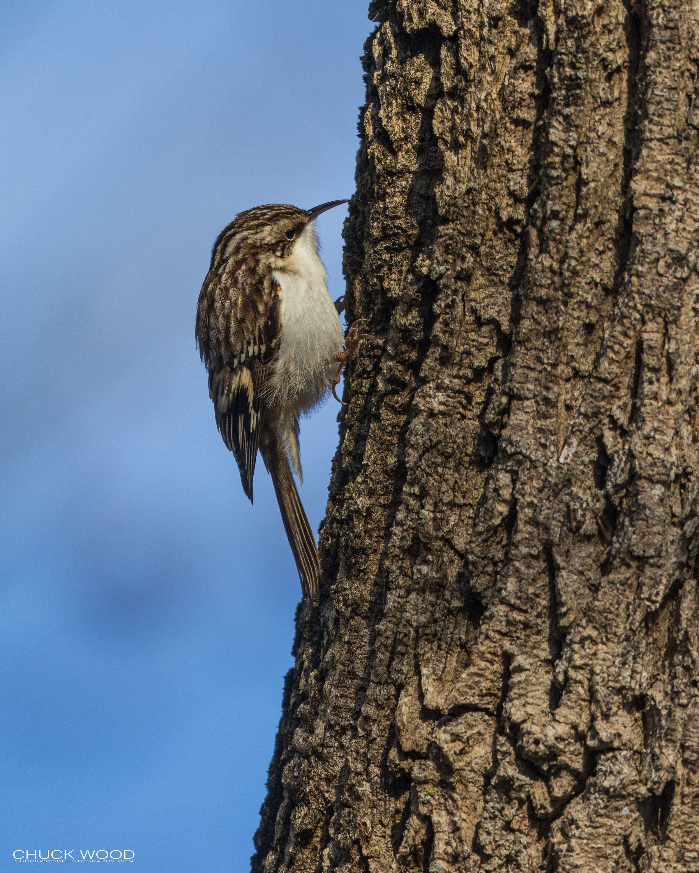  Conowingo Dam, MD 2022 