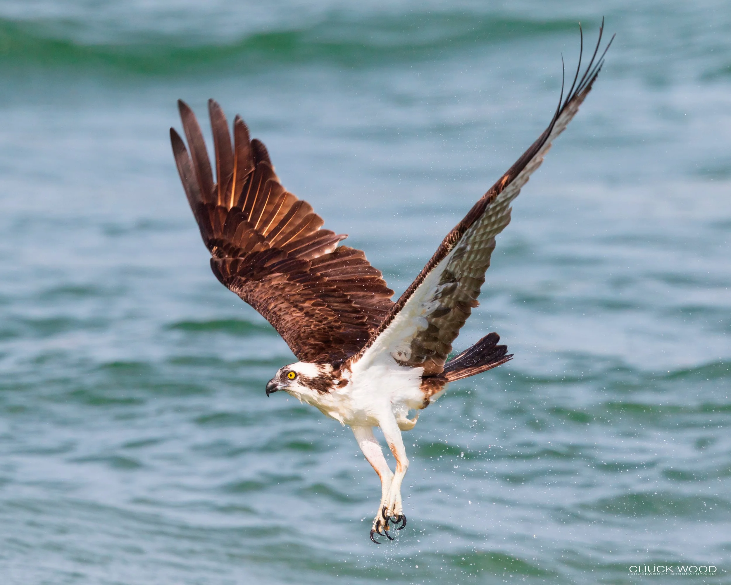 Sebastian Inlet, FL 2020