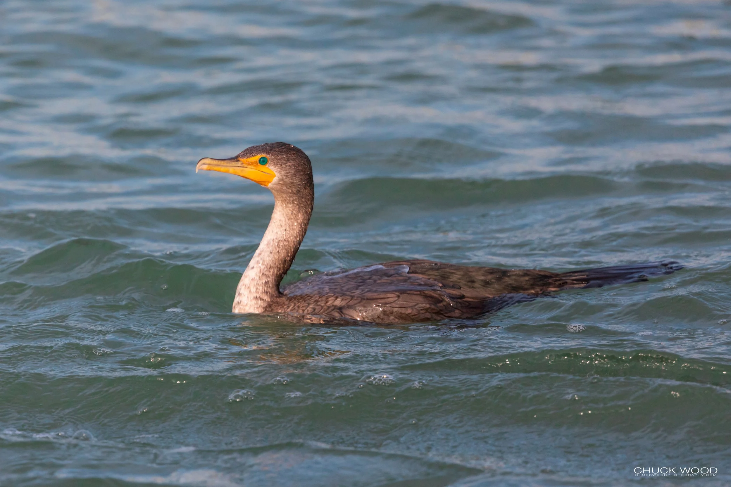  Sebastian Inlet, FL 2020 