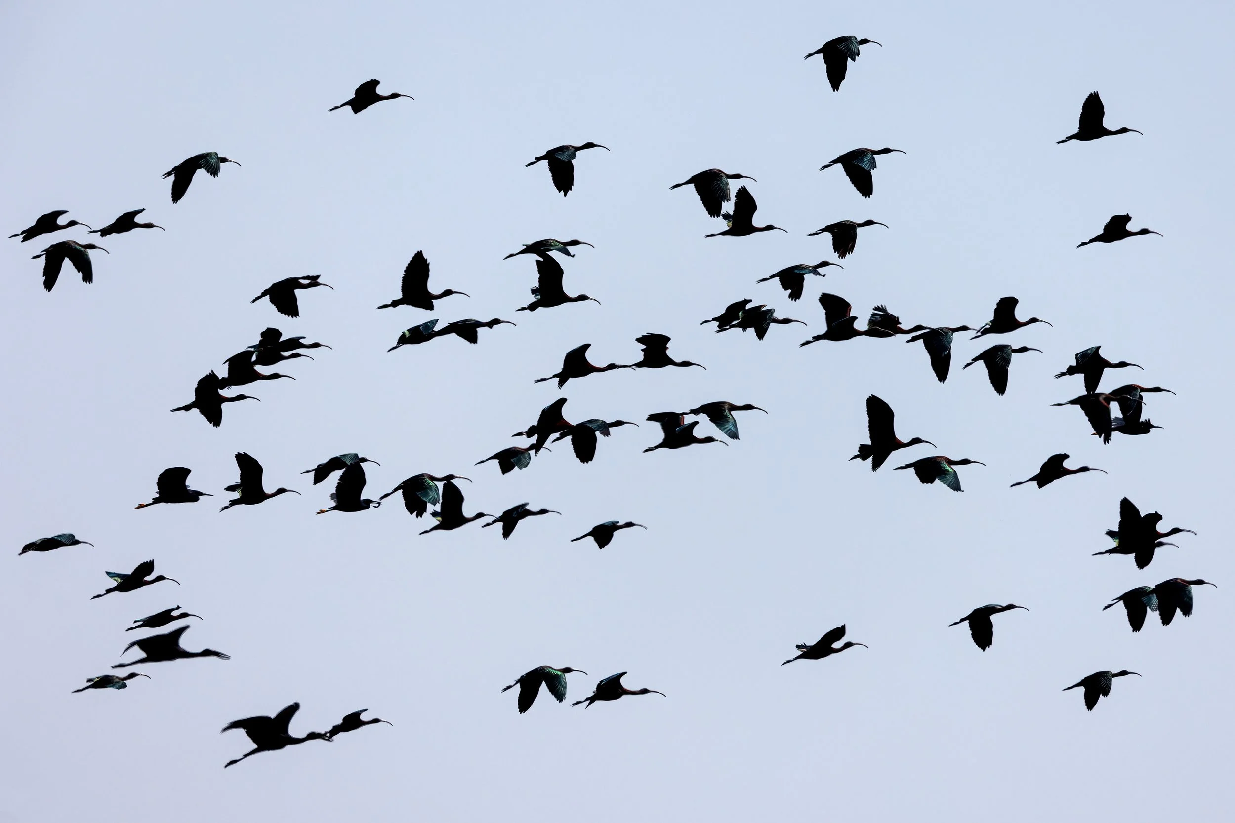  Chobe Riverfront, Botswana 2023 