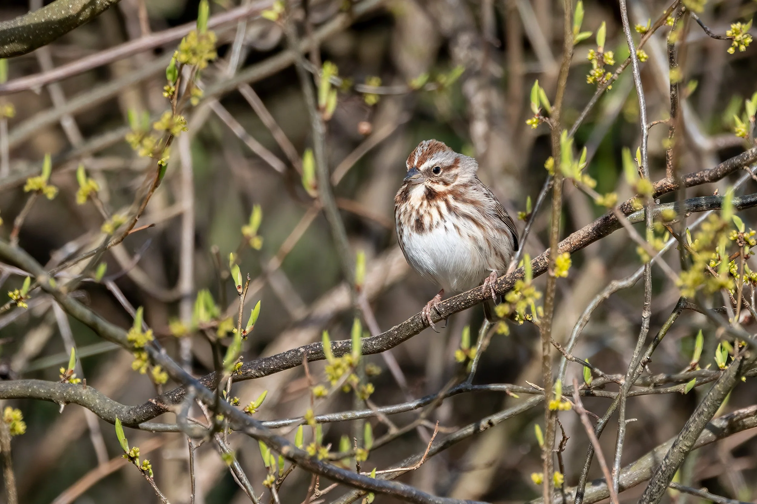Fireman's Eddy, NJ 2023