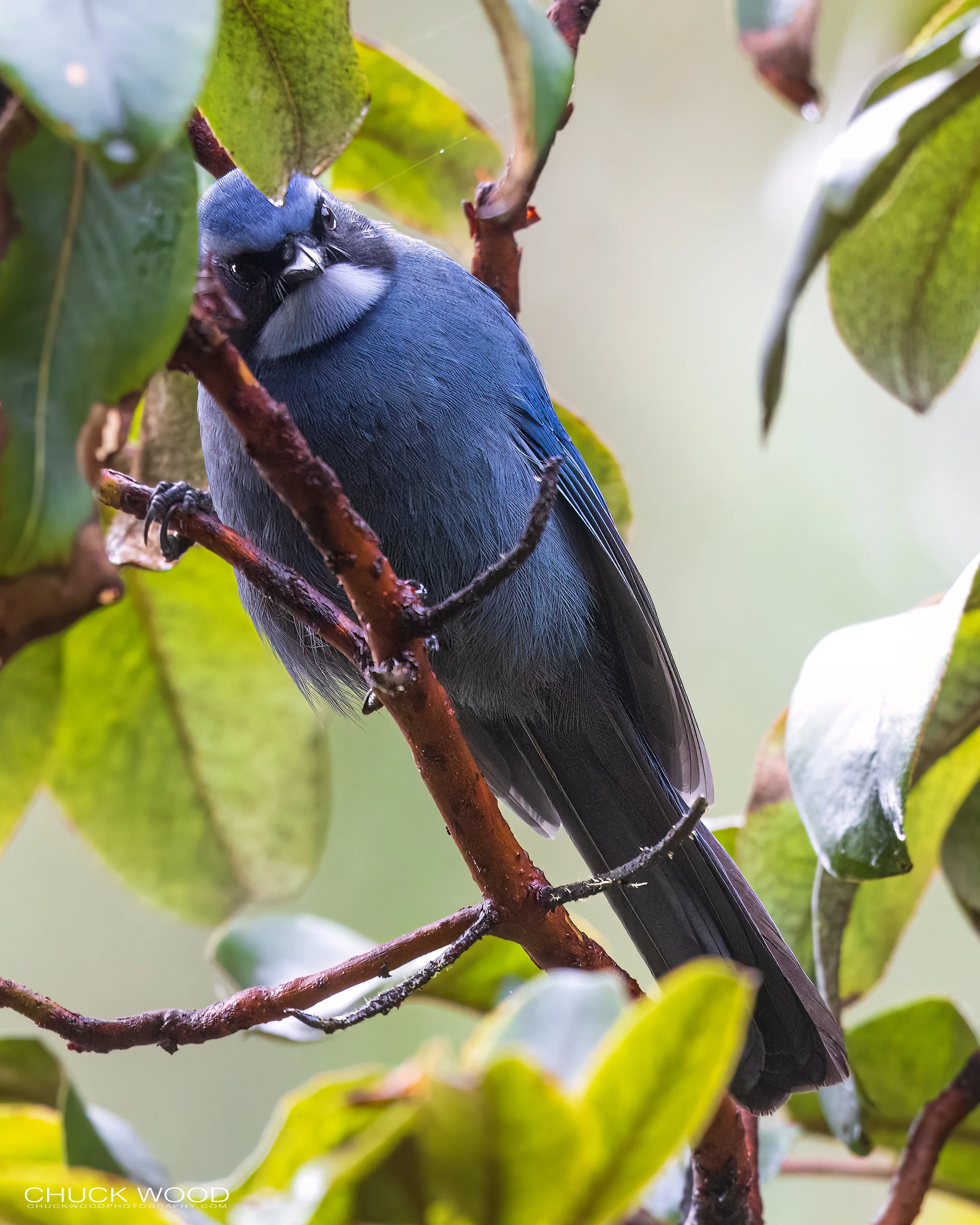  Camino La Cumbra, MX 2022 