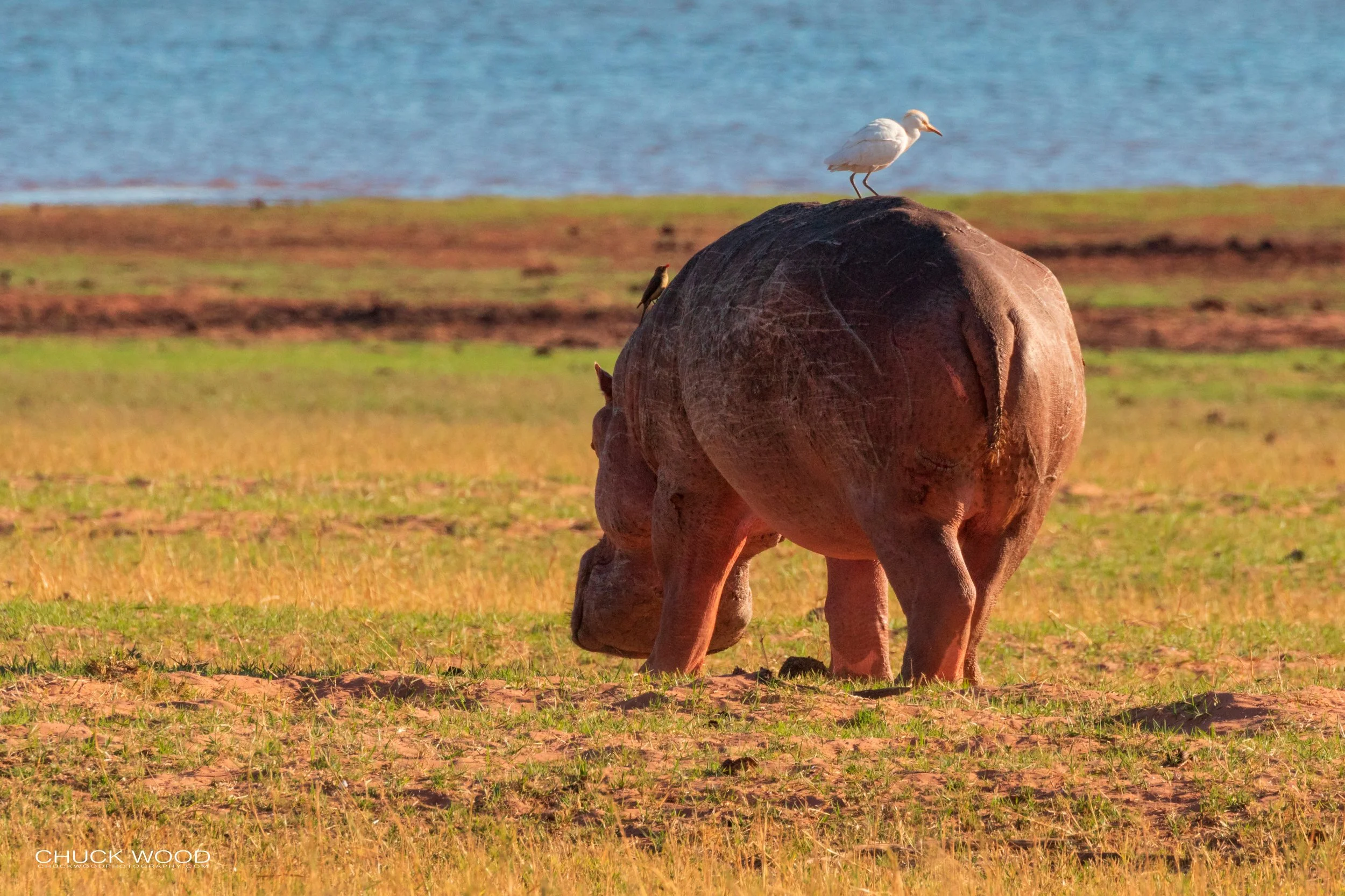  Lake Kariba, Zimbabwe 2019 