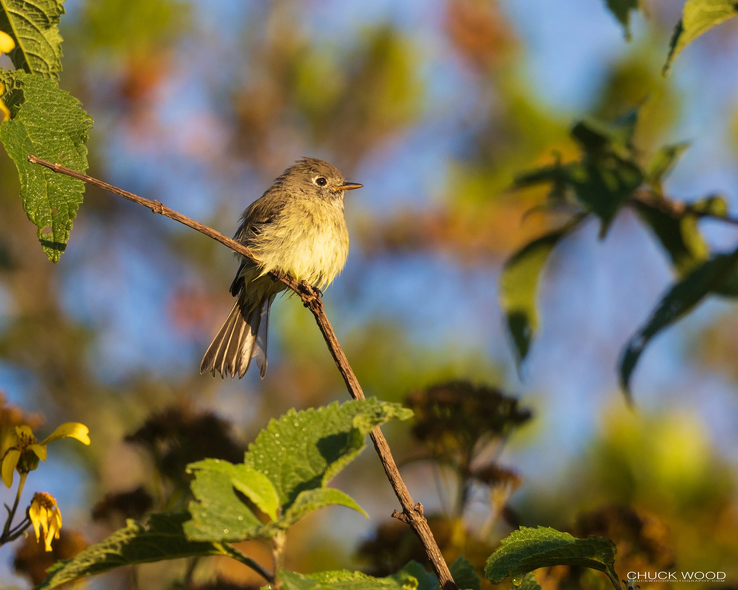  Camino Cuajimoloyas Oaxaca, MX 2022 