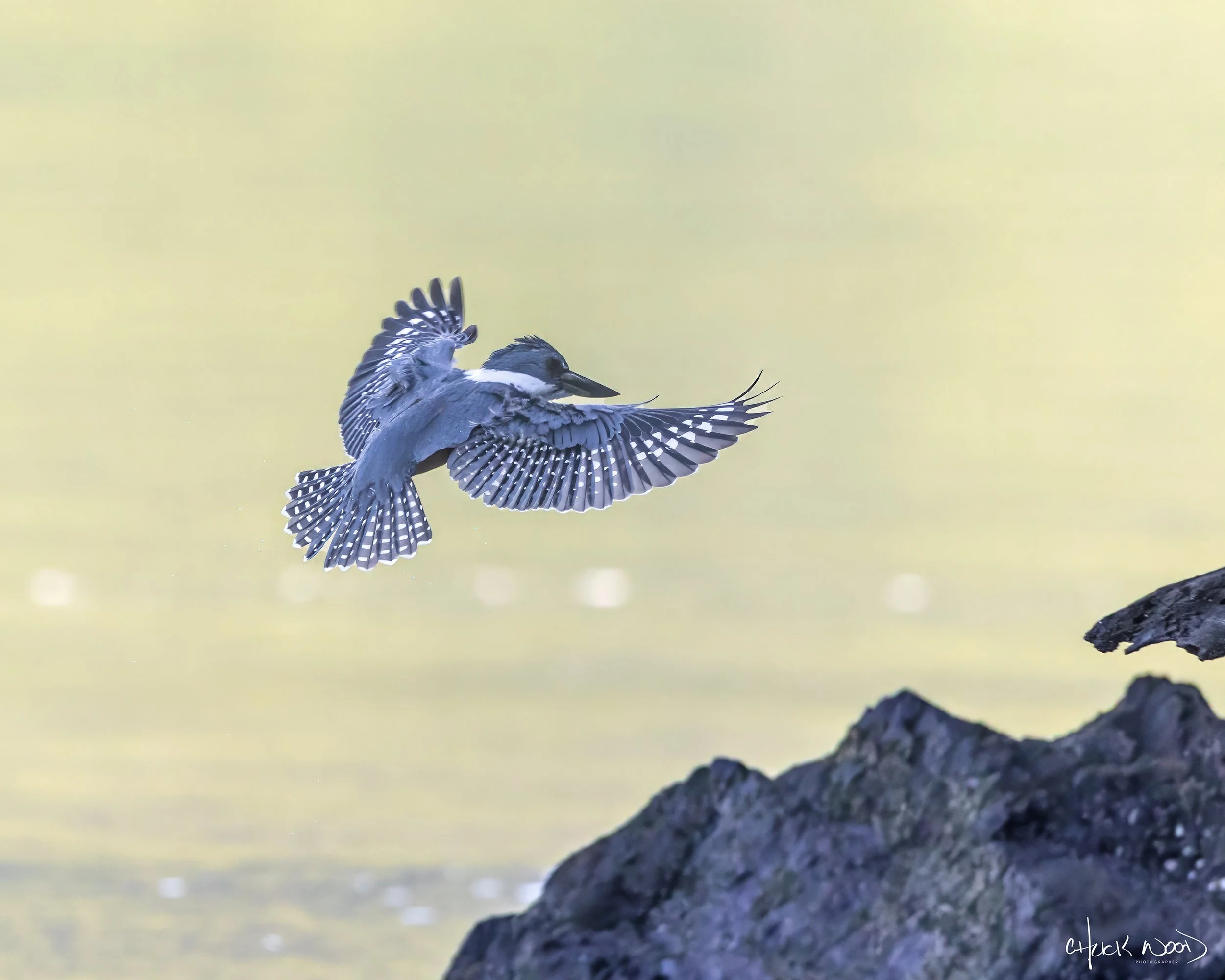  Osa Peninsula, Costa Rica 2022 