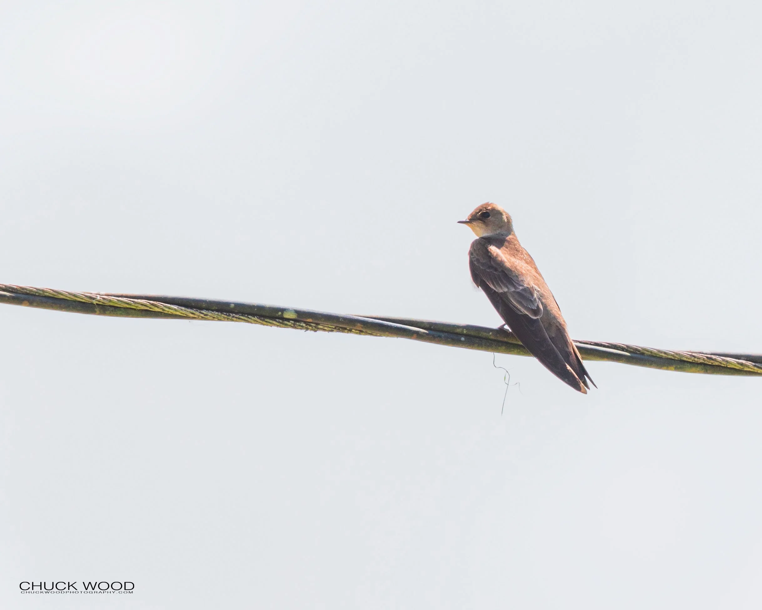  CATIE, Costa Rica 2020 