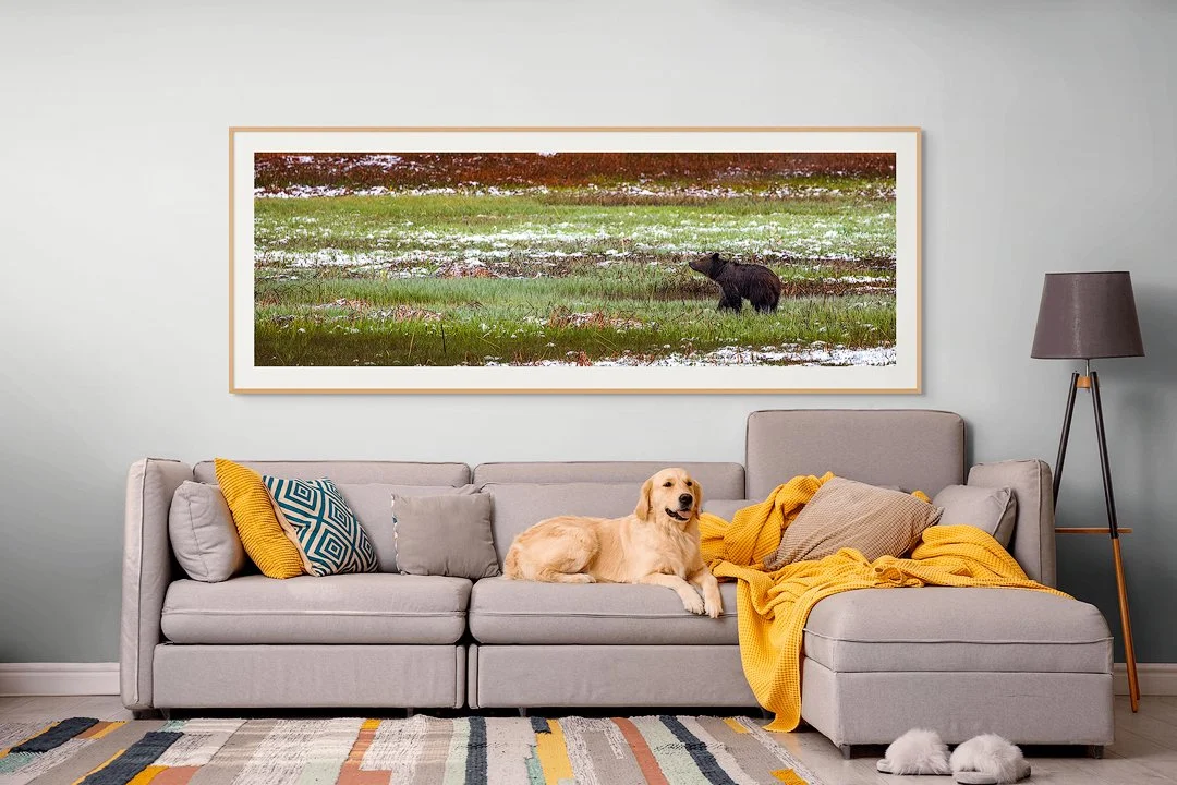 CW00439-Yellowstone-Bear-815-Cub-2025-living-room.jpg