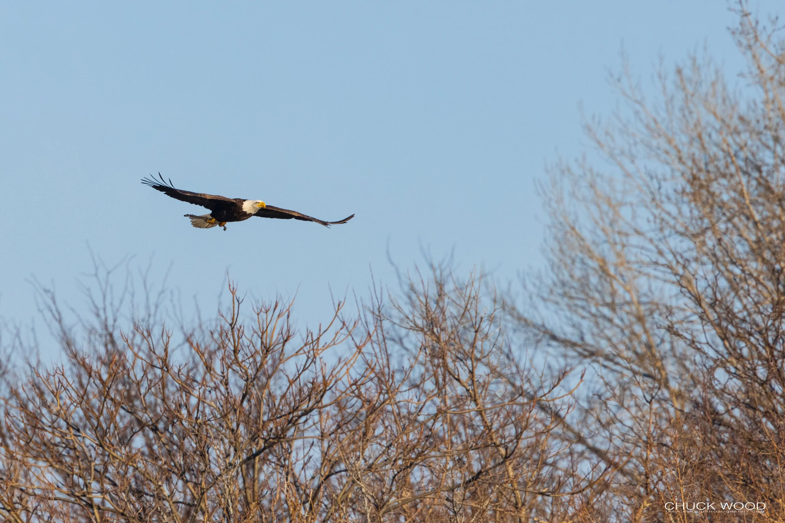  Hackensack River, NJ 2021 