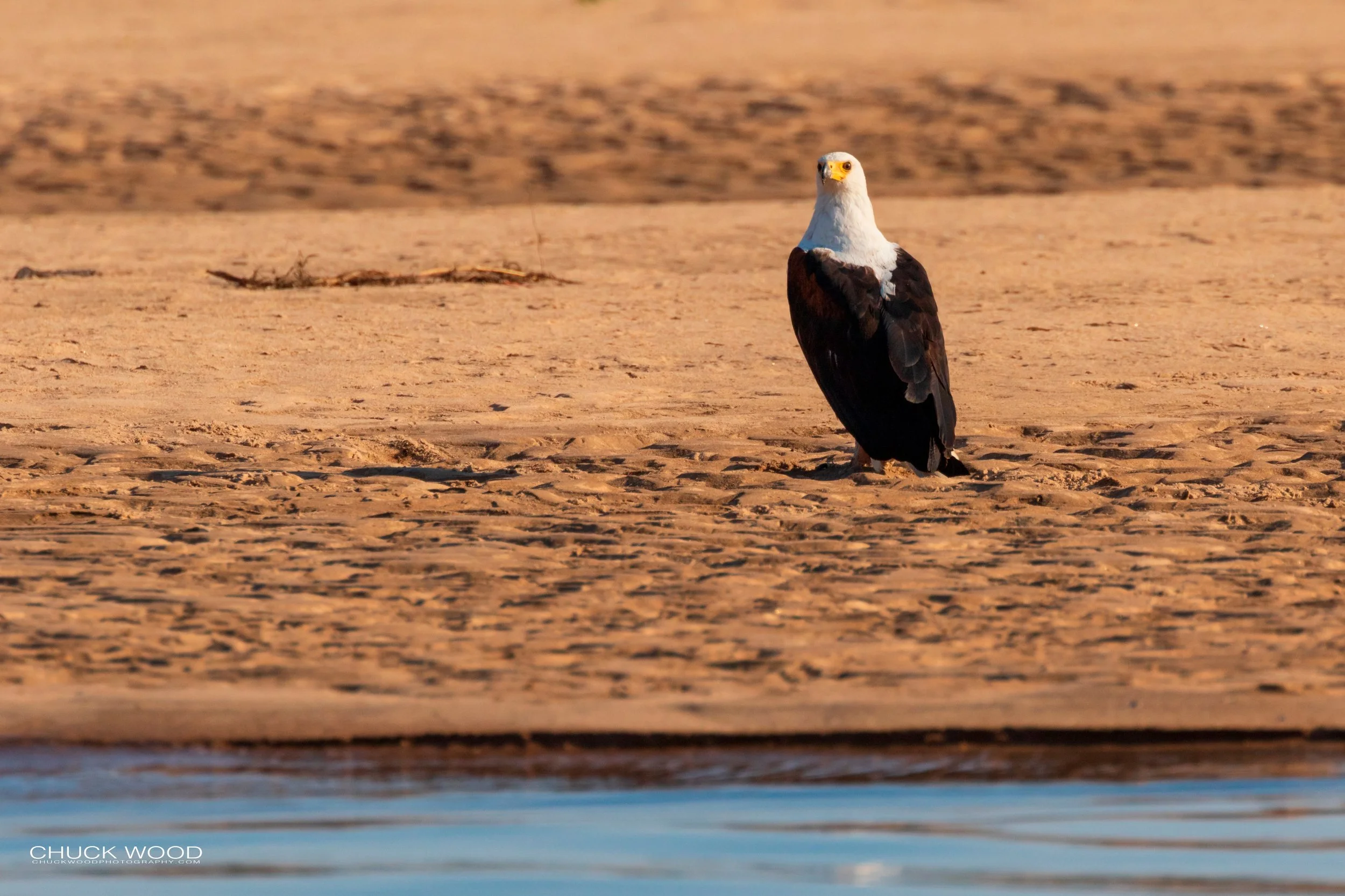  Lake Kariba, Zimbabwe 2019 