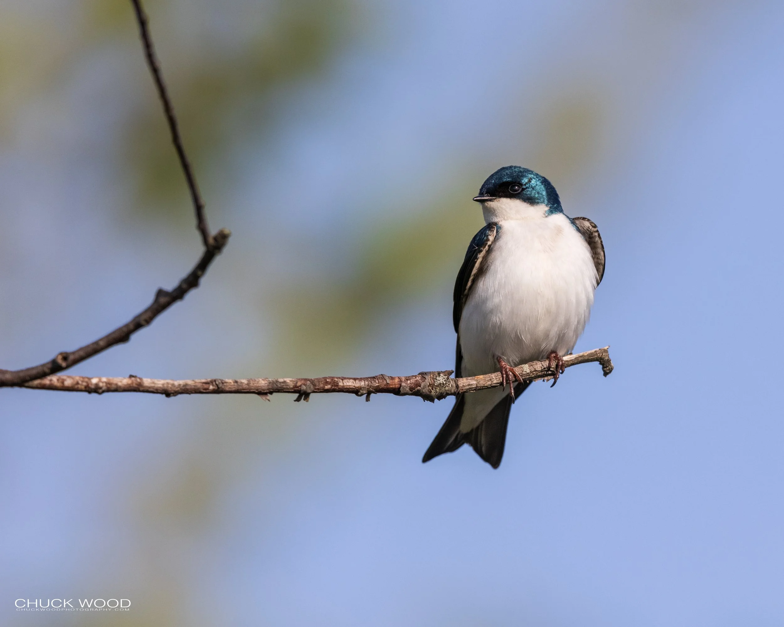  Dekorte Park, NJ 2021 