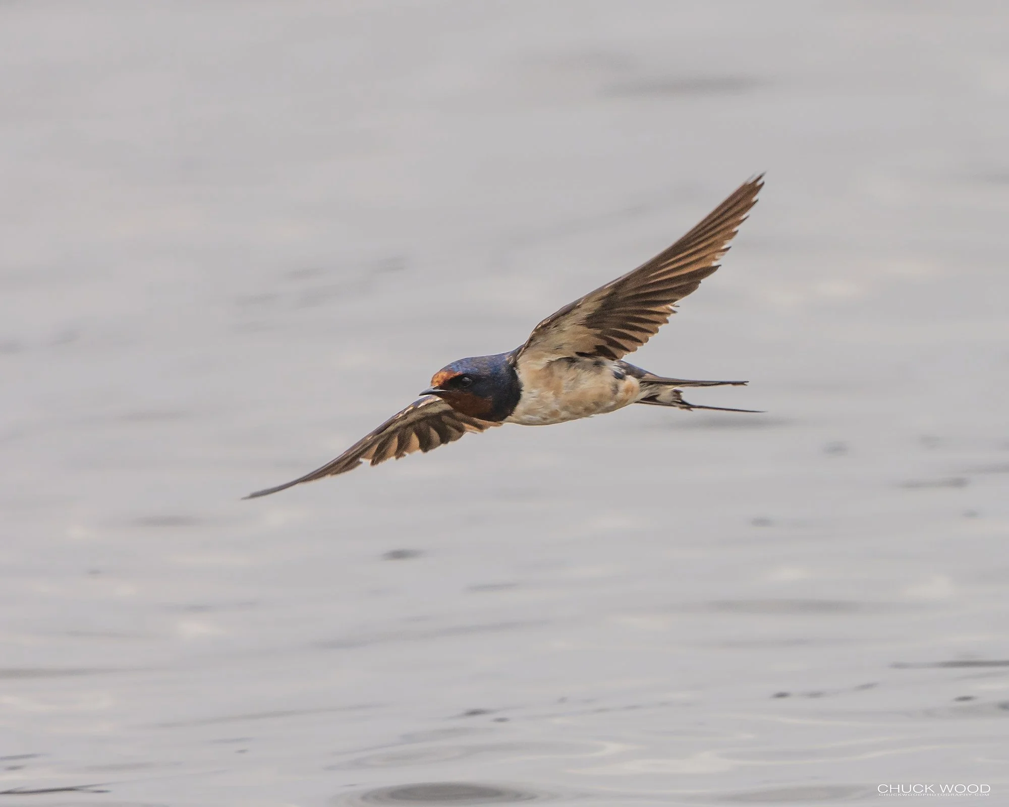  Arusha, Tanzania 2021 