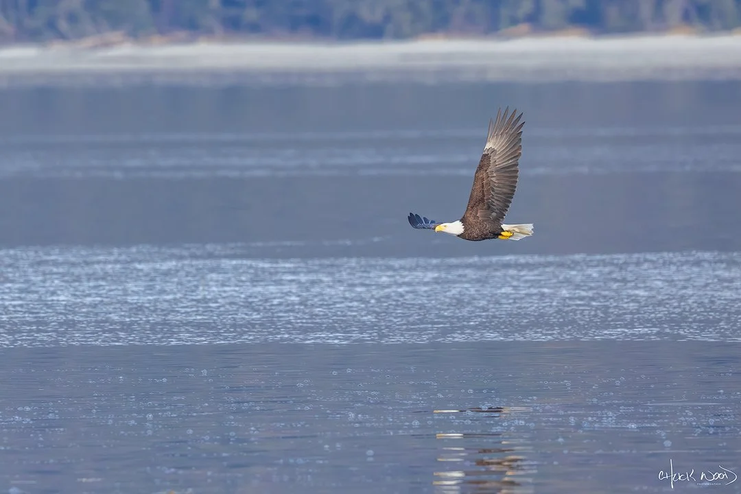  Sitka, AK 2024 