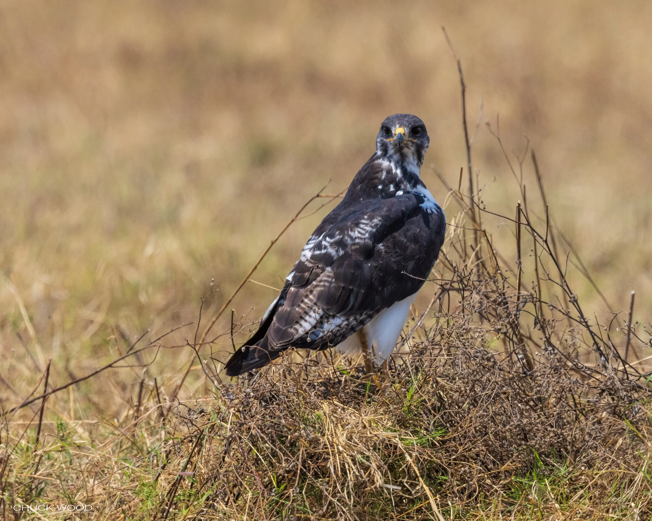  Ngorongoro Crater, Tanzania 2021 