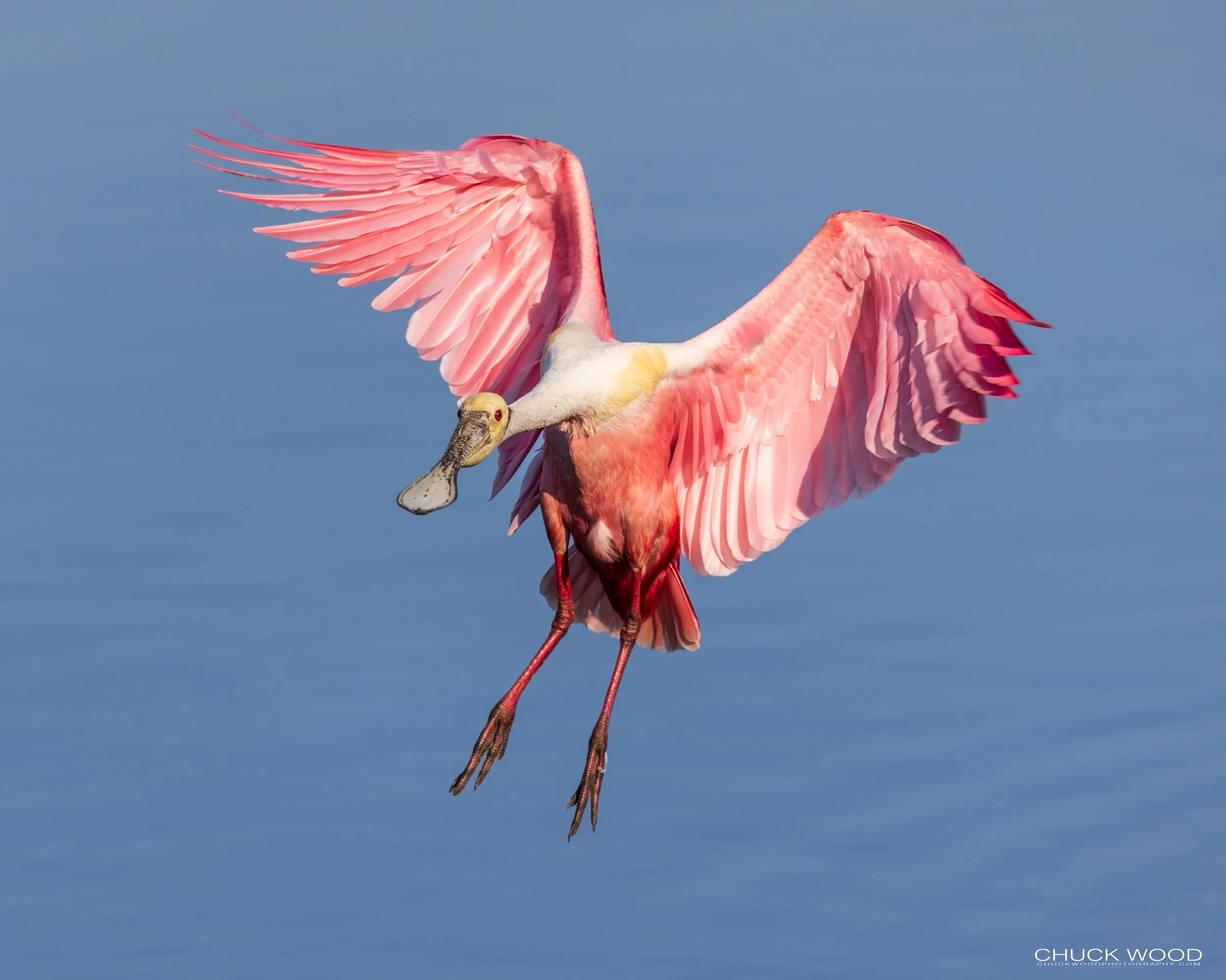  Stick Marsh, FL 2021 
