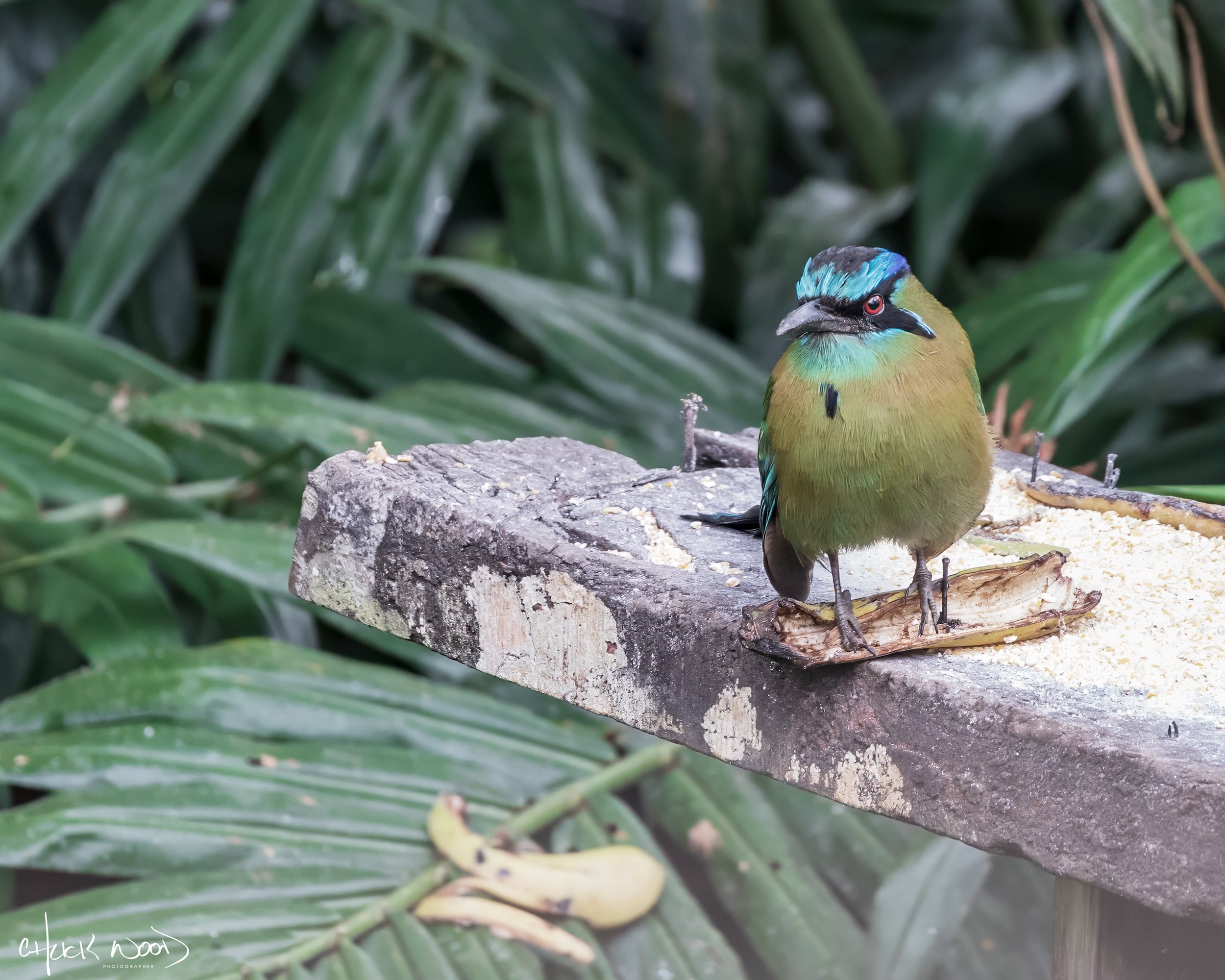  Rancho Naturalista 2020 