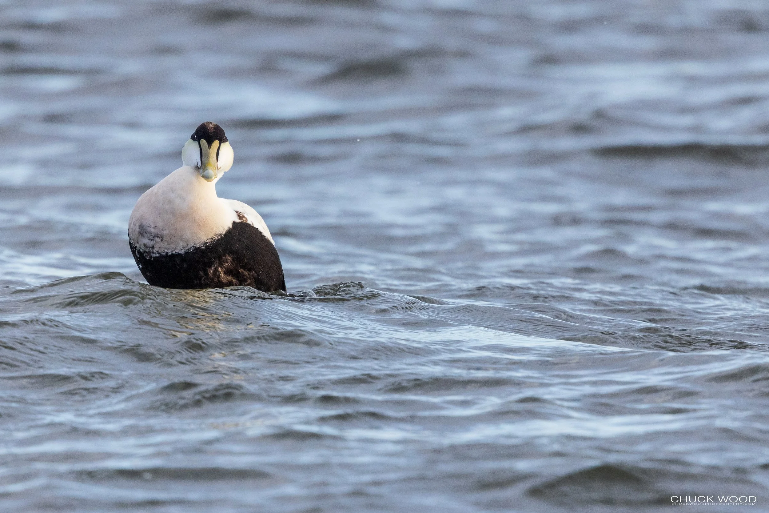  Barnegat Lighthouse, NJ 2021 