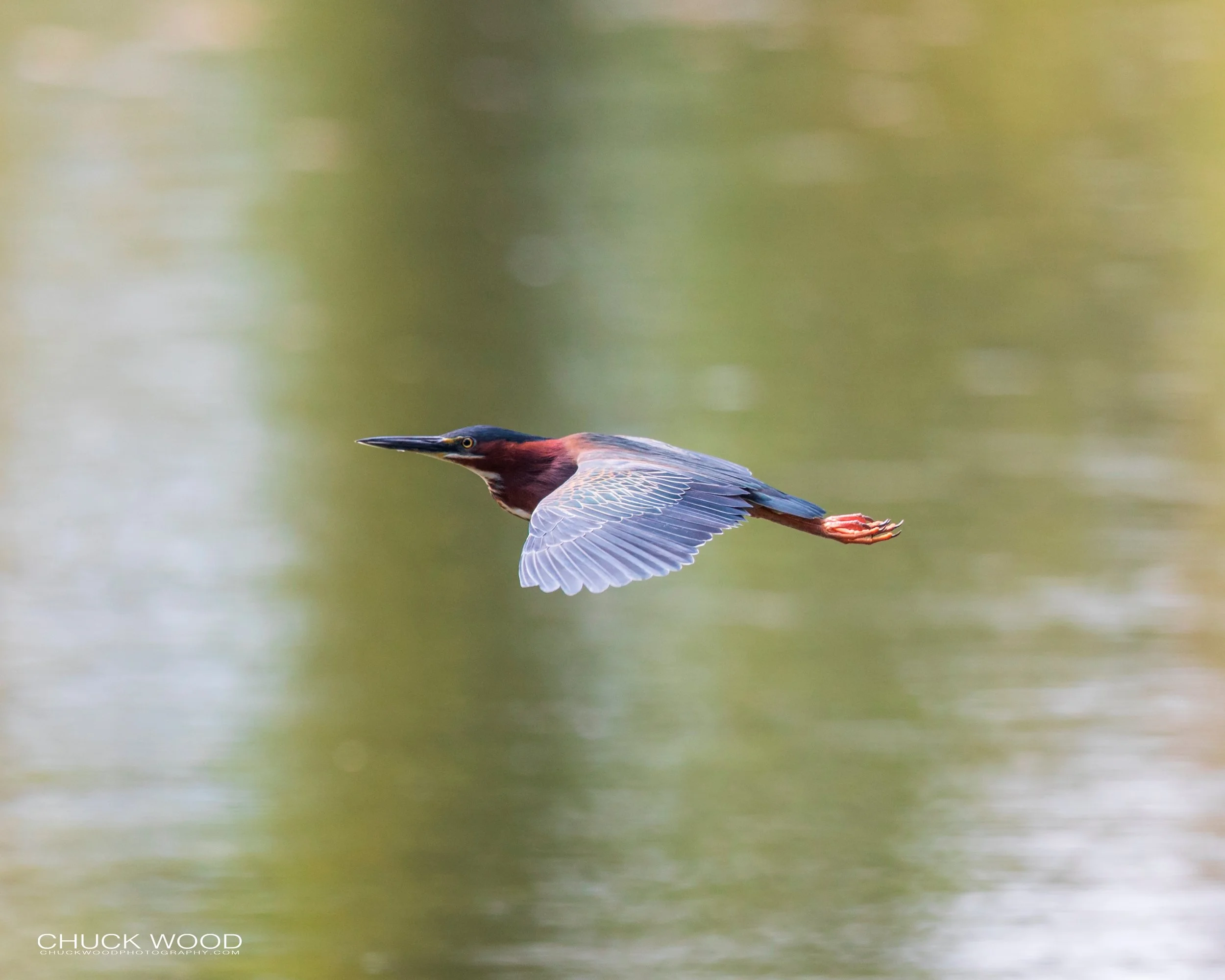  CATIE, Costa Rica 2020 