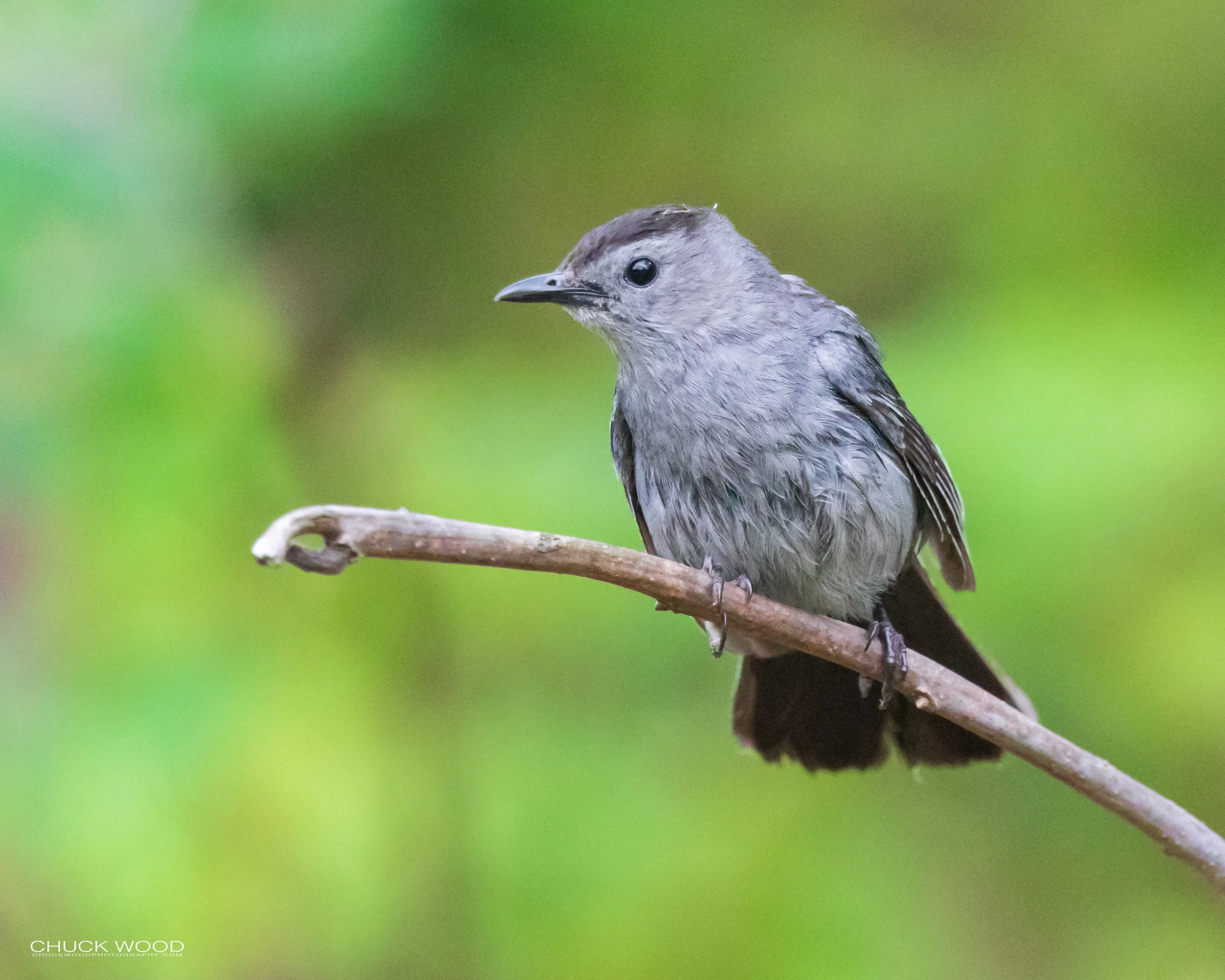  Dekorte Park, NJ 2020 