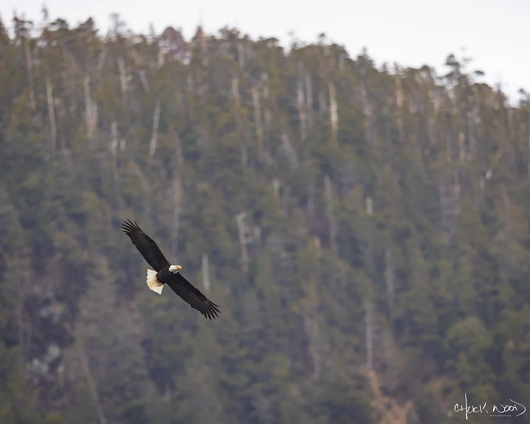  Sitka, AK 2024 