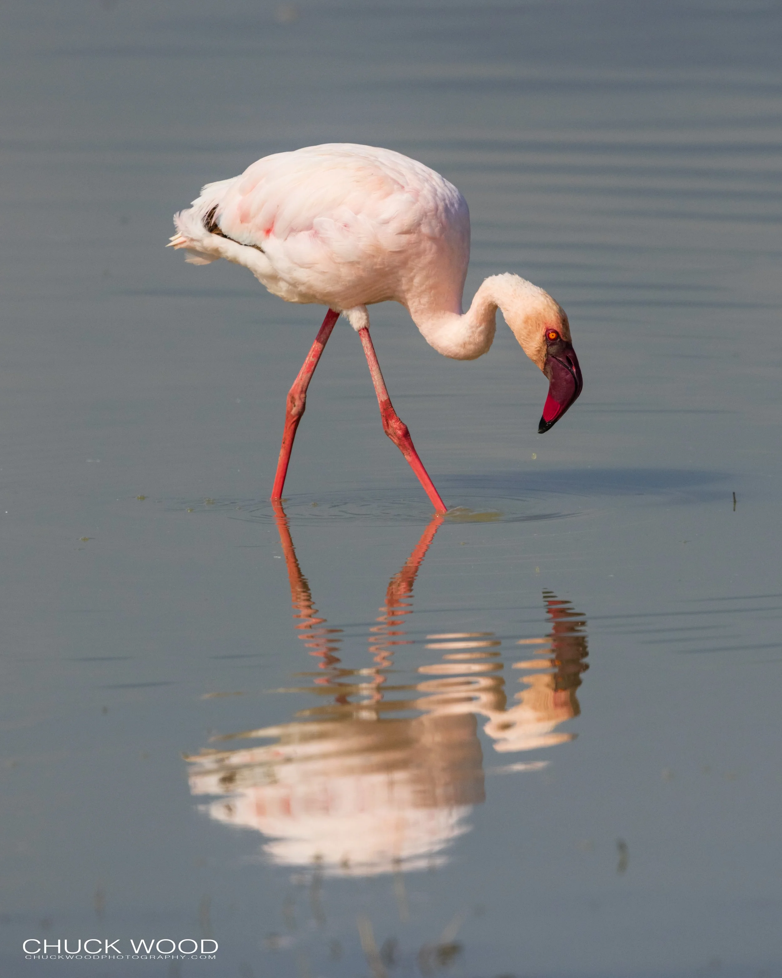  Ngorongoro Crater, Tanzania 2021 