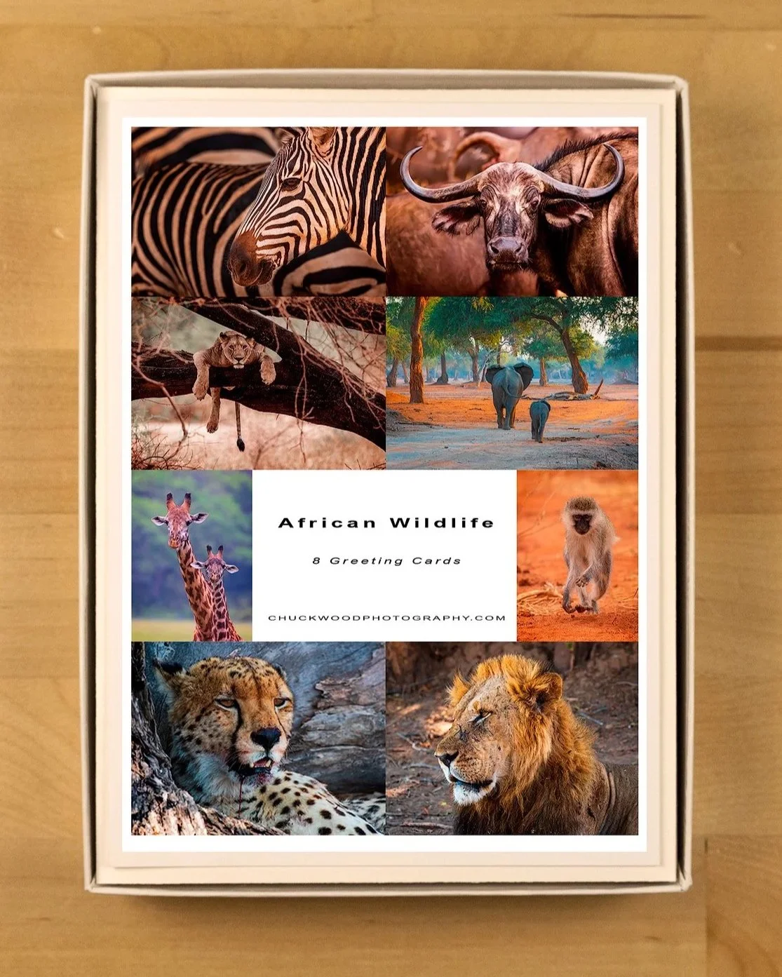 African-Wildlife-Boxed-Set-product-shot-BOX-1500.jpg