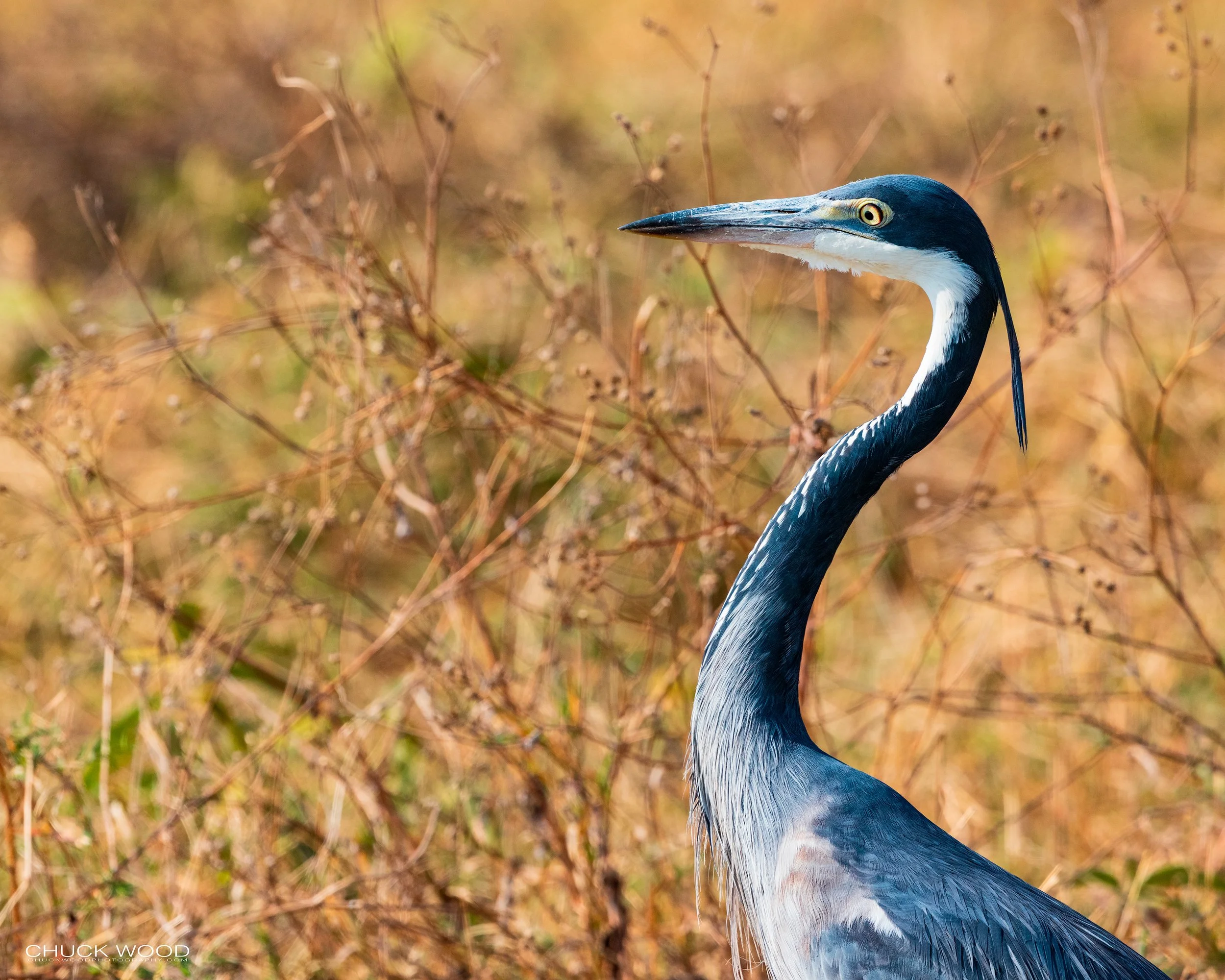  Ngorongoro Crater, Tanzania 2021 