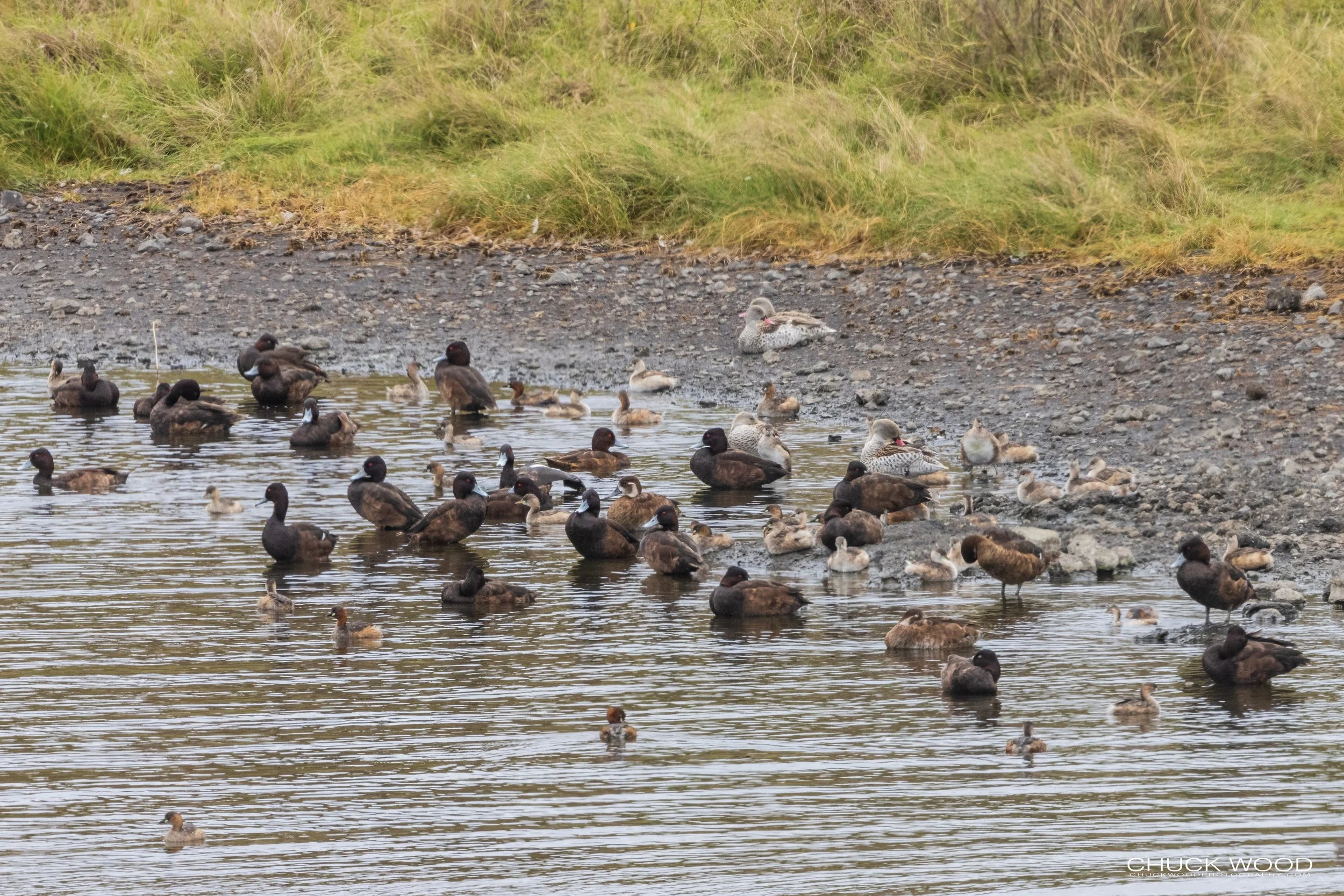  Arusha, Tanzania 2021 