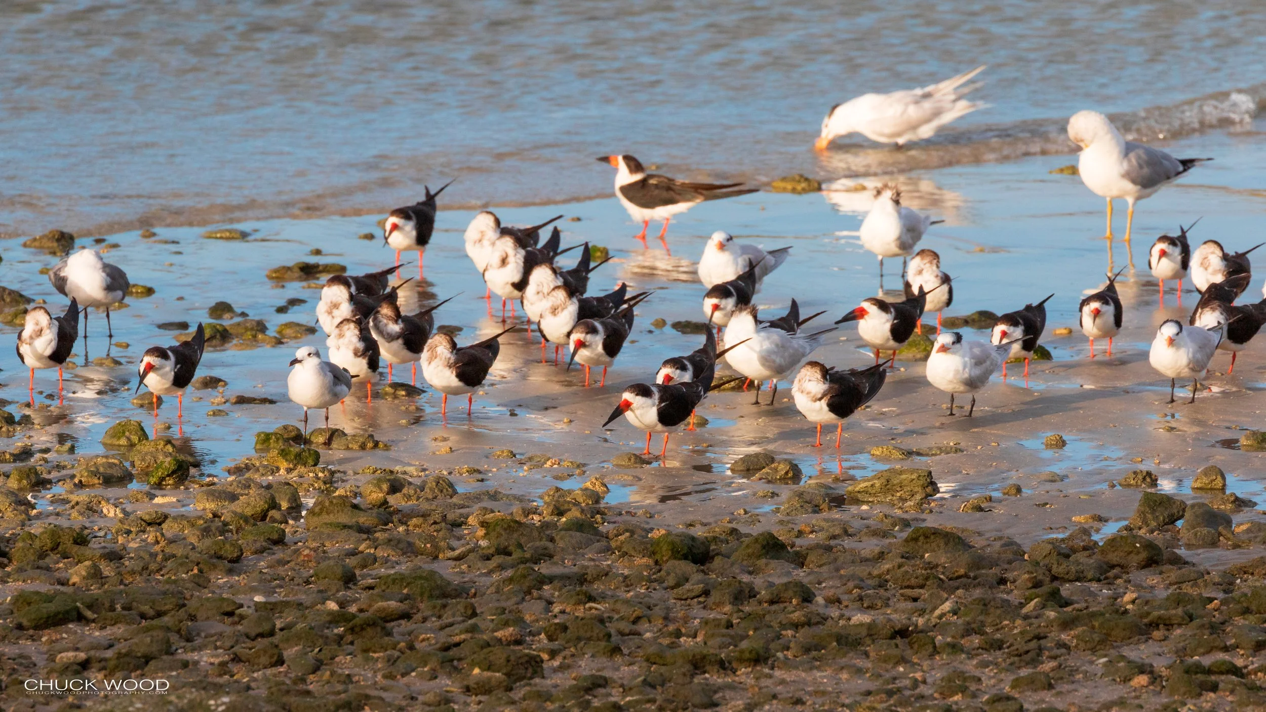  Sebastian Inlet, FL 2020 