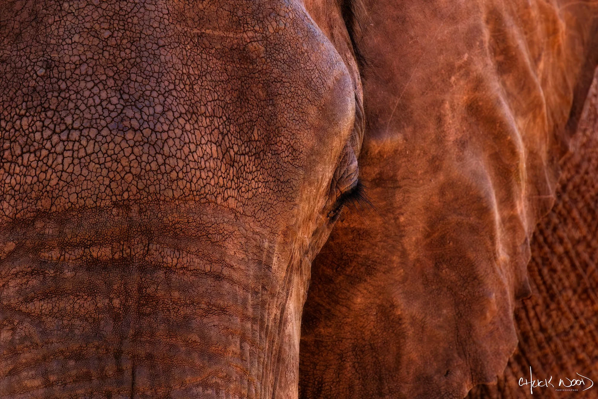 CW00642-Kariba-Earth-2019-2000-sig.jpg