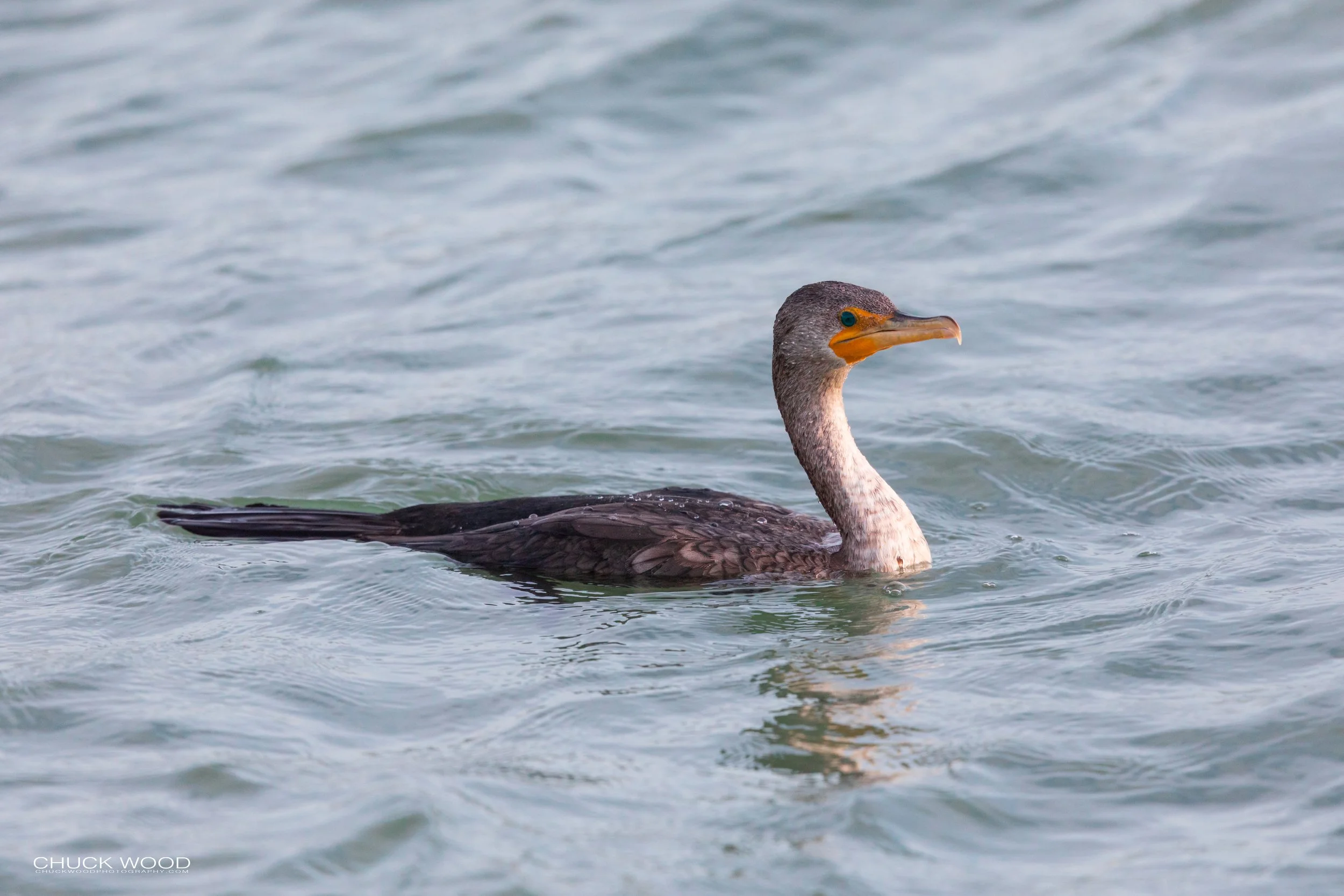  Sebastian Inlet, FL 2020 