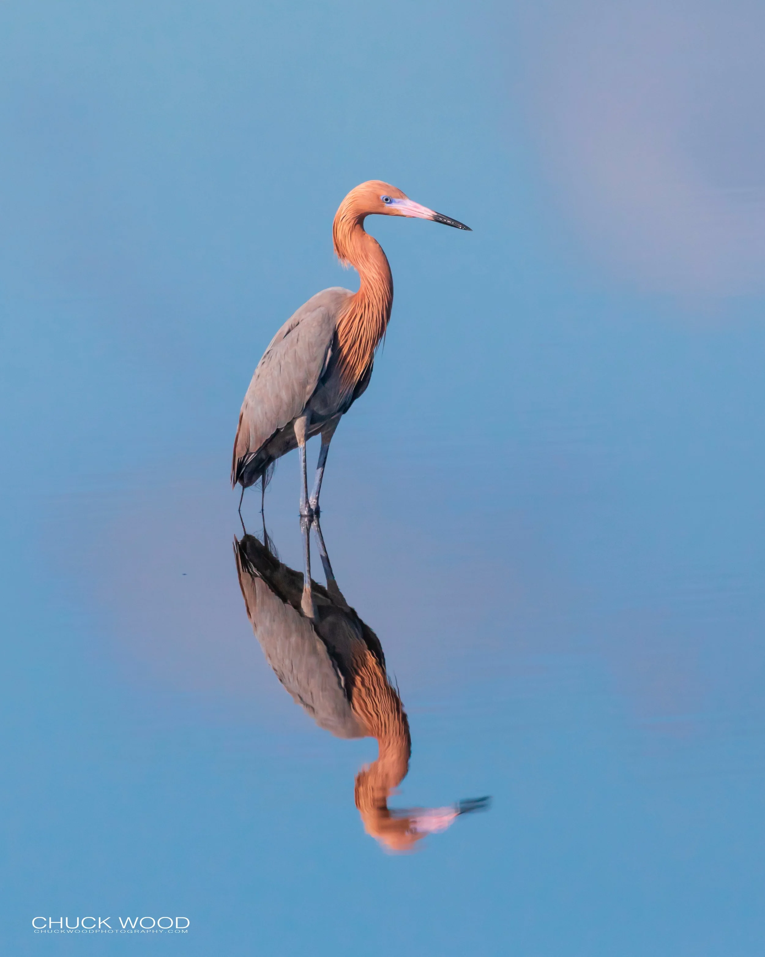  Merritt Island, FL 2019 