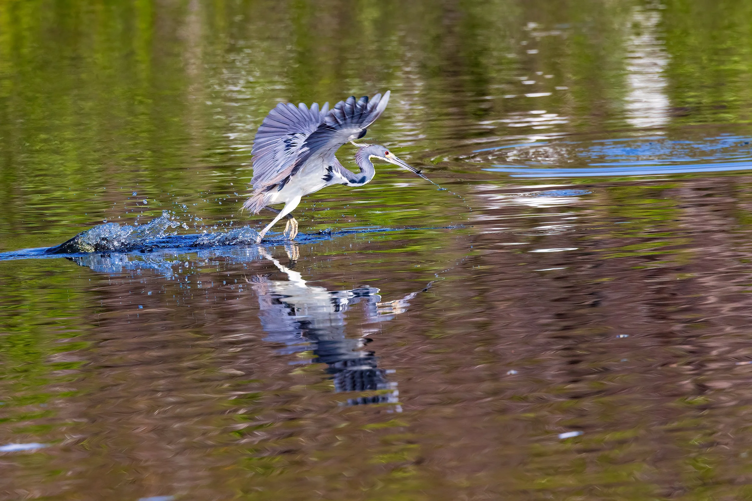  Wakohadatchee, FL 2023 