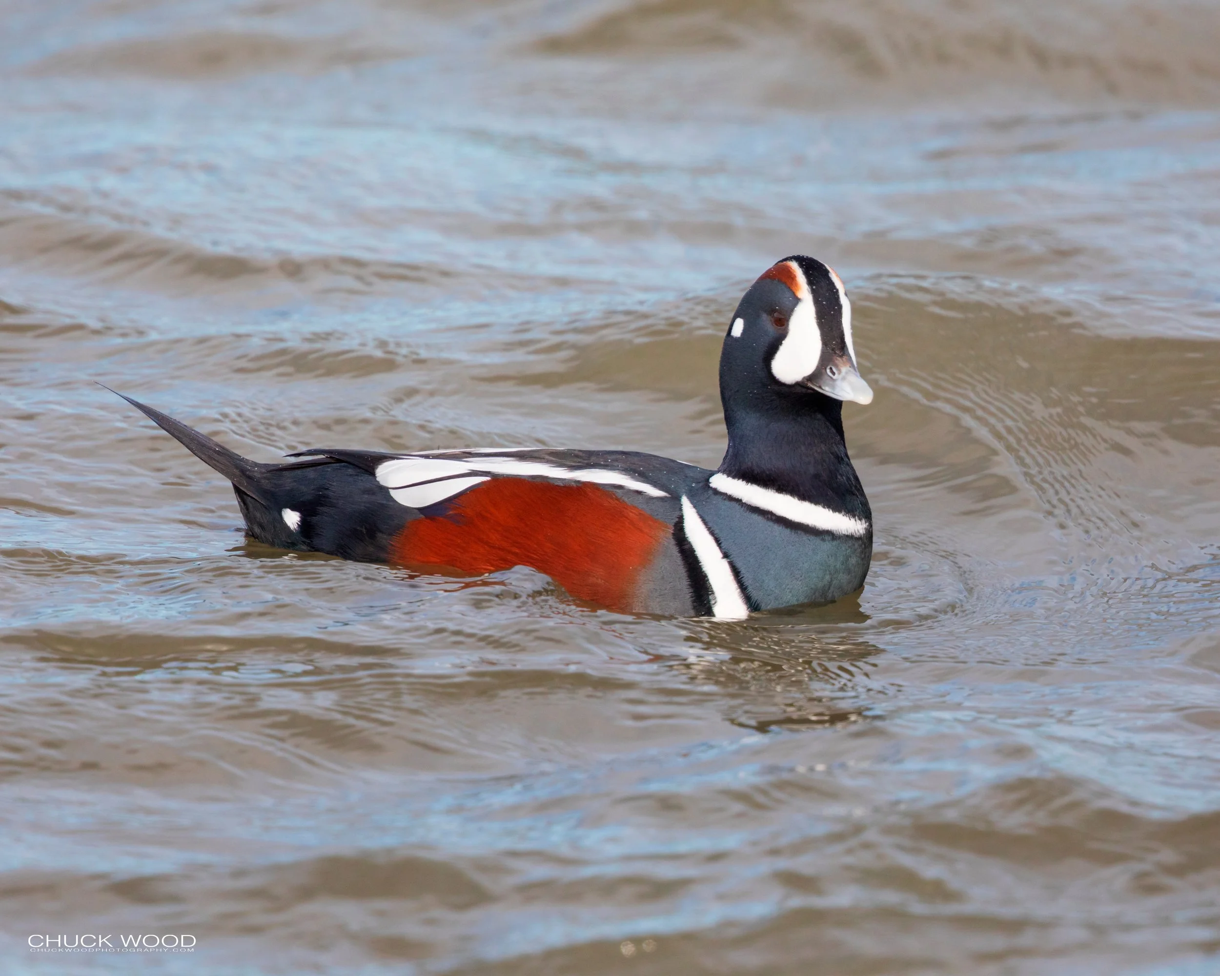  Barnegat Lighthouse, NJ 2020 