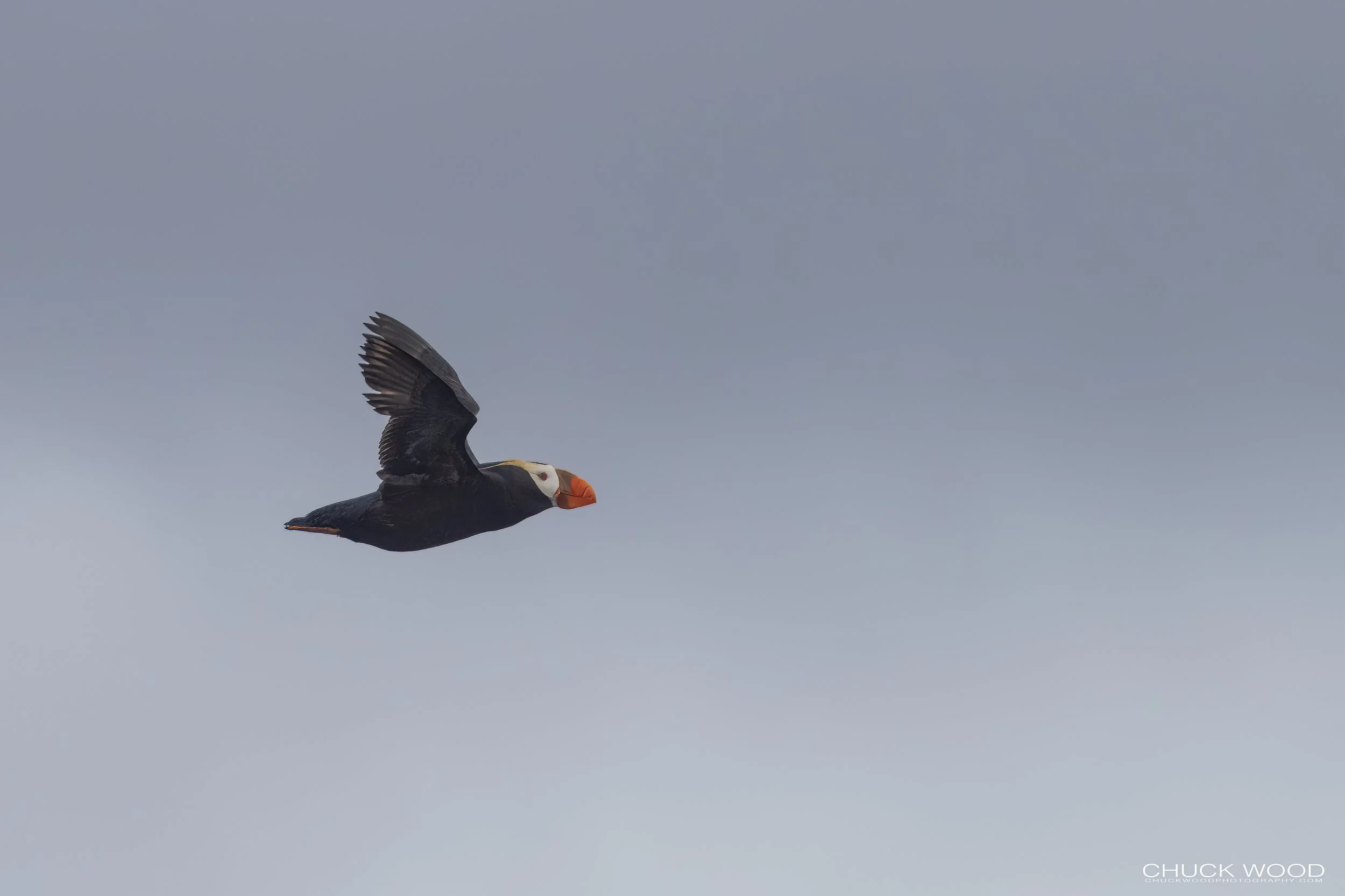   Resurection Bay, AK 2022 