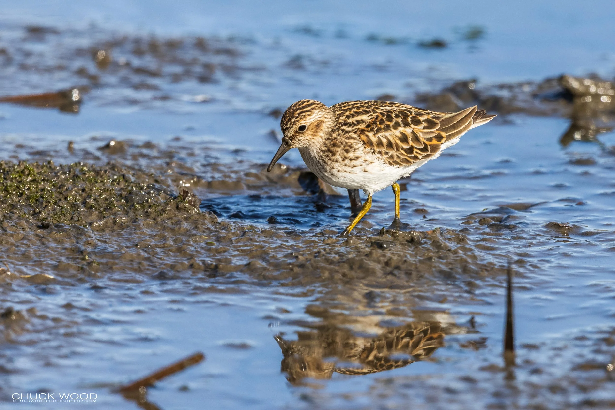  Dekorte Park, NJ 2021 