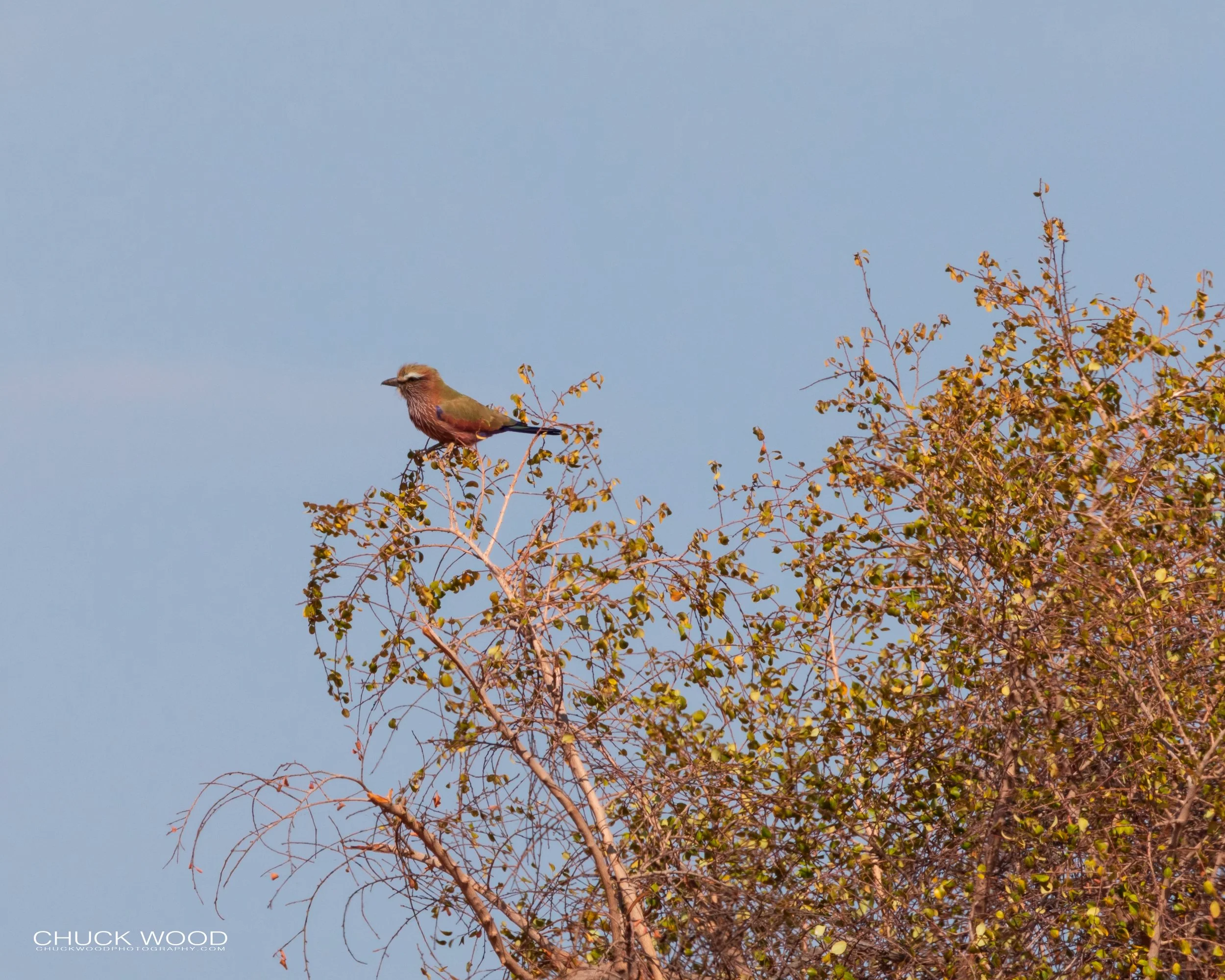  Lake Kariba, Zimbabwe 2019 