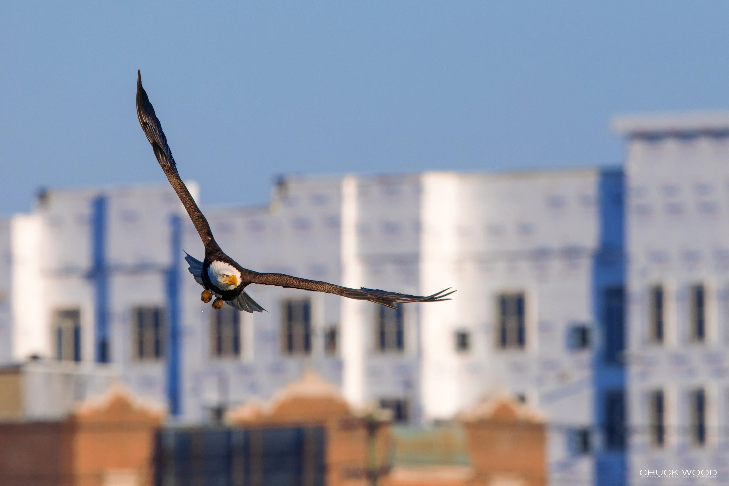  Hackensack River, NJ 2021 