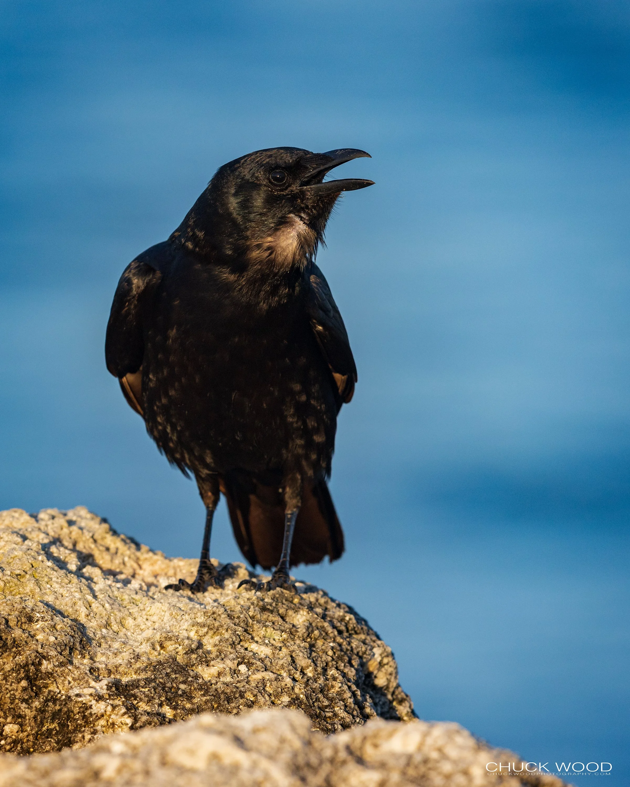  Sebastian Inlet, FL 2022 