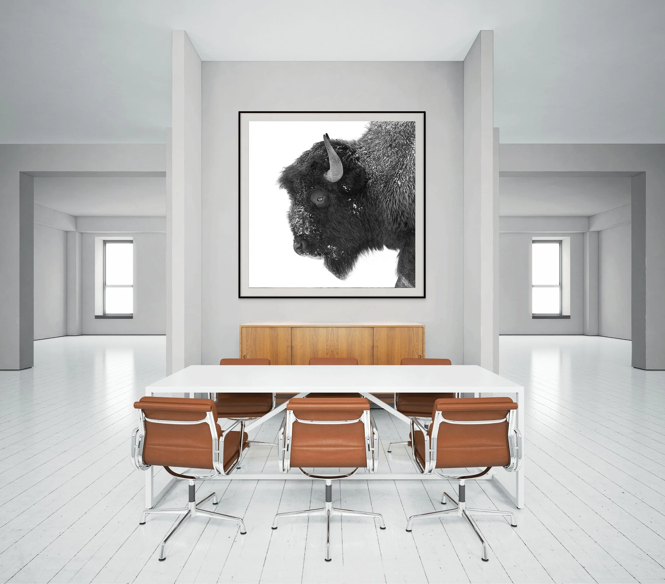 CW00621-Plains-Bison-Yellowstone-2026-BOARD-ROOM.jpg