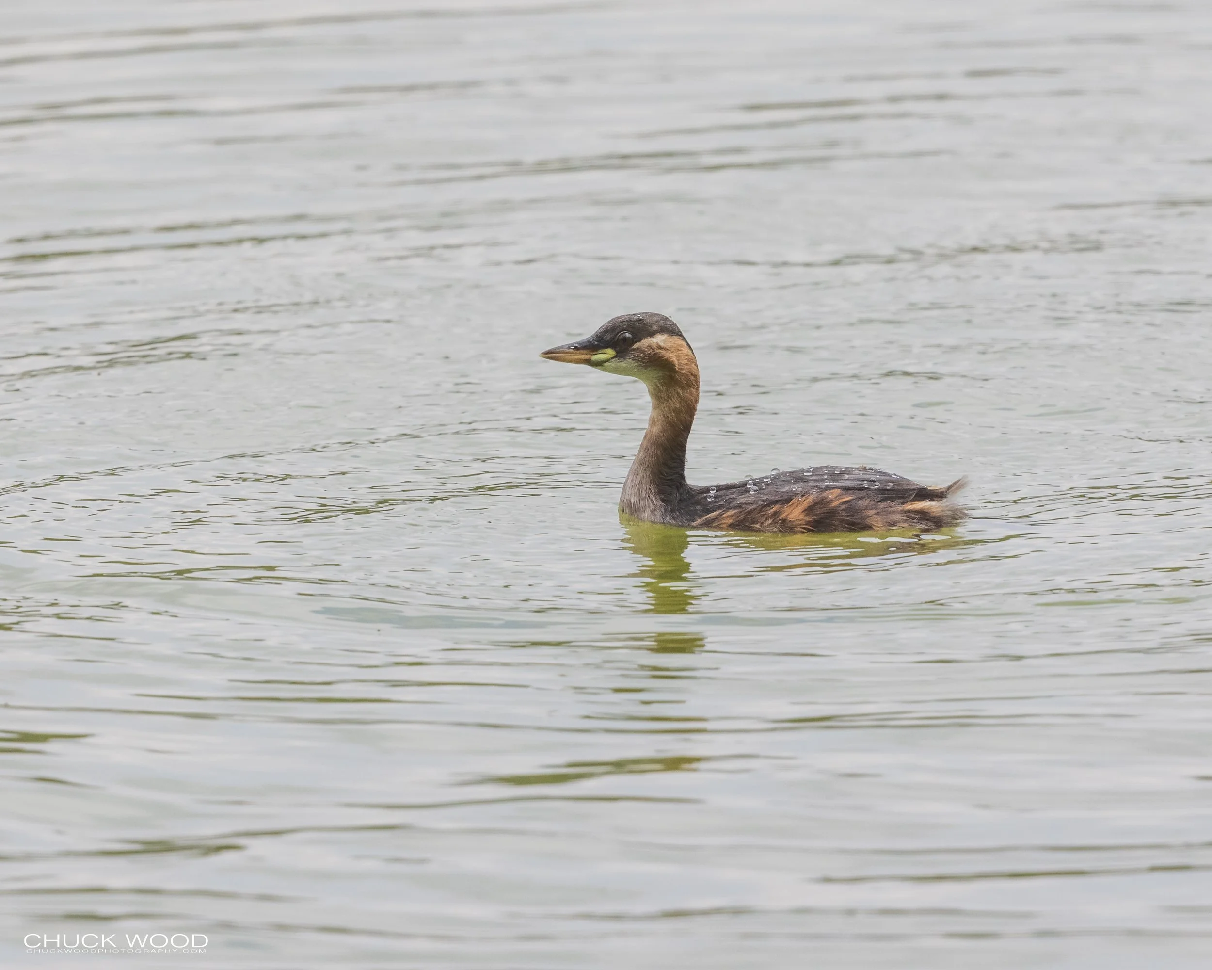  Arusha, Tanzania 2021 