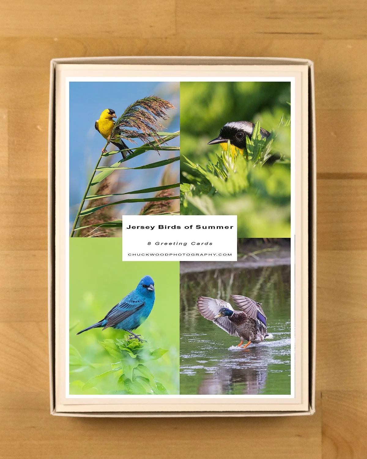 Jersey-Birds-Summer-Boxed-Set-product-shot-BOX-1500.jpg