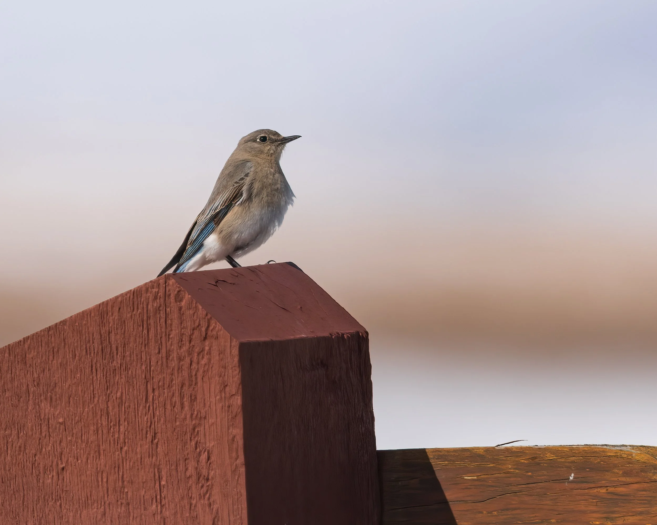  Theodore Roosevelt NP, ND 2023 