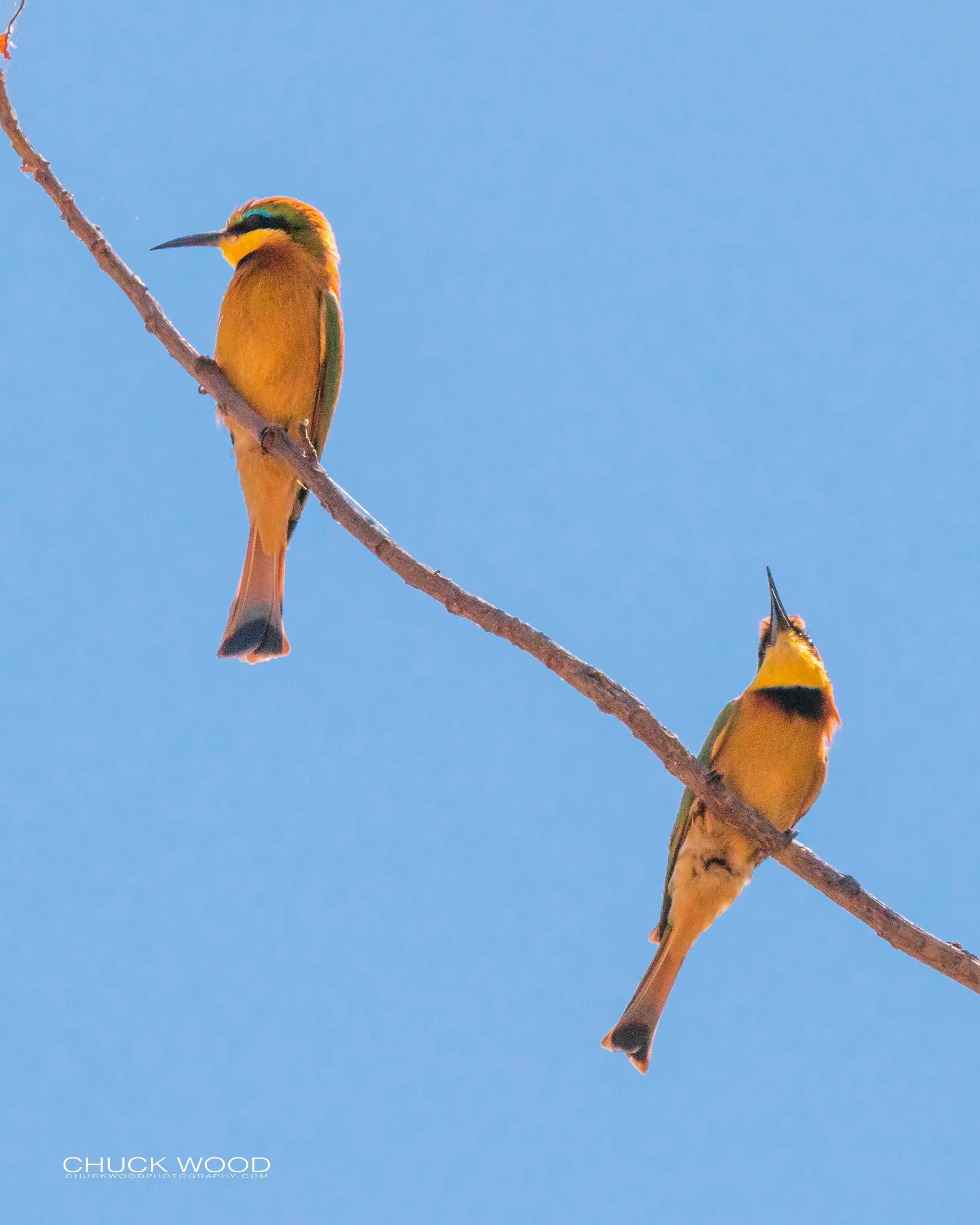  Victoria Falls, Zimbabwe 2019 