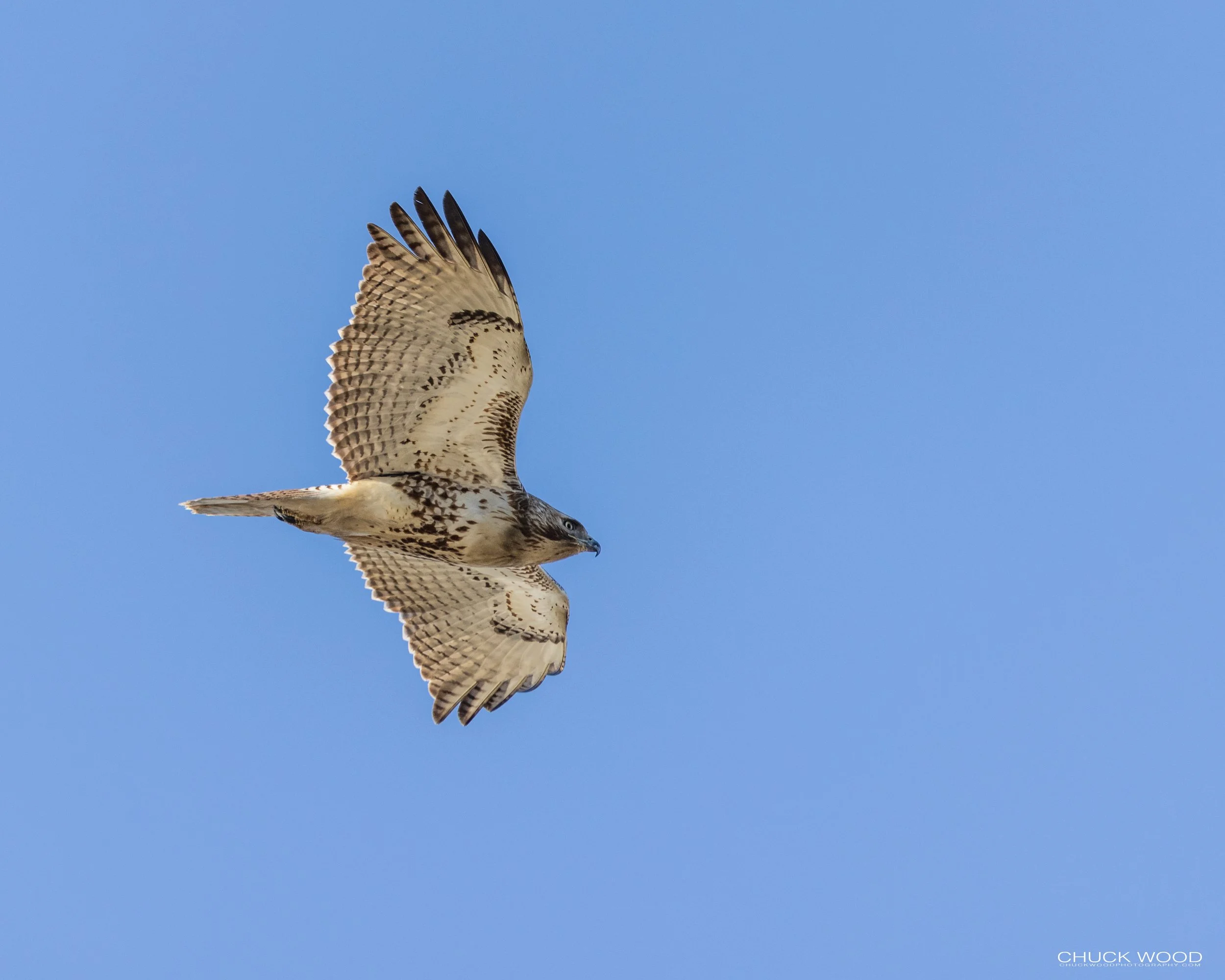  Foschini Park, NJ 2021 