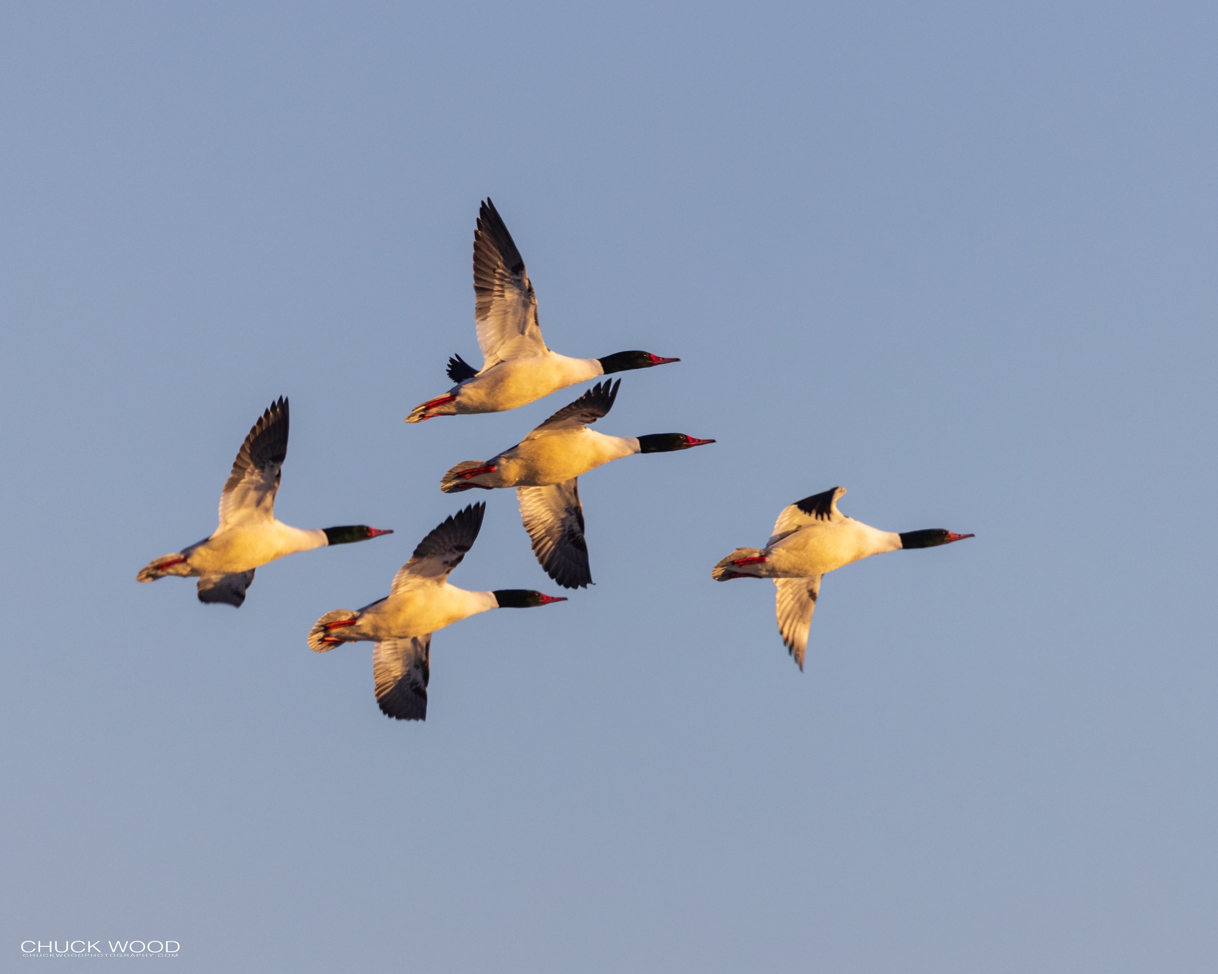  Hackensack River, NJ 2021 